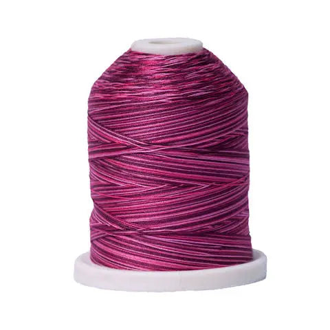 079 Raspberries Signature Cotton Variegated Thread Mini Spool - 40WT American & Efird Signature