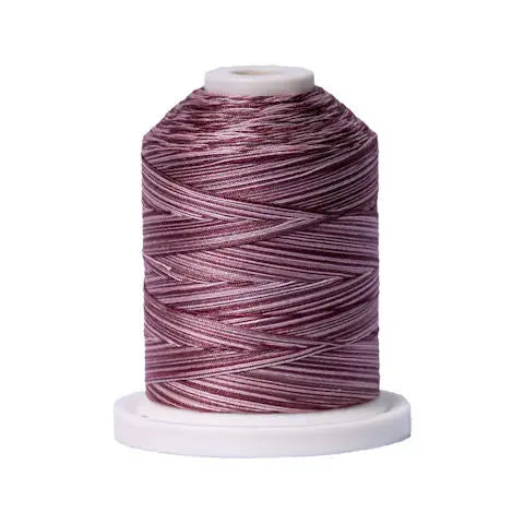 080 Dusty Mauves Signature Cotton Variegated Thread Mini Spool - 40WT American & Efird Signature