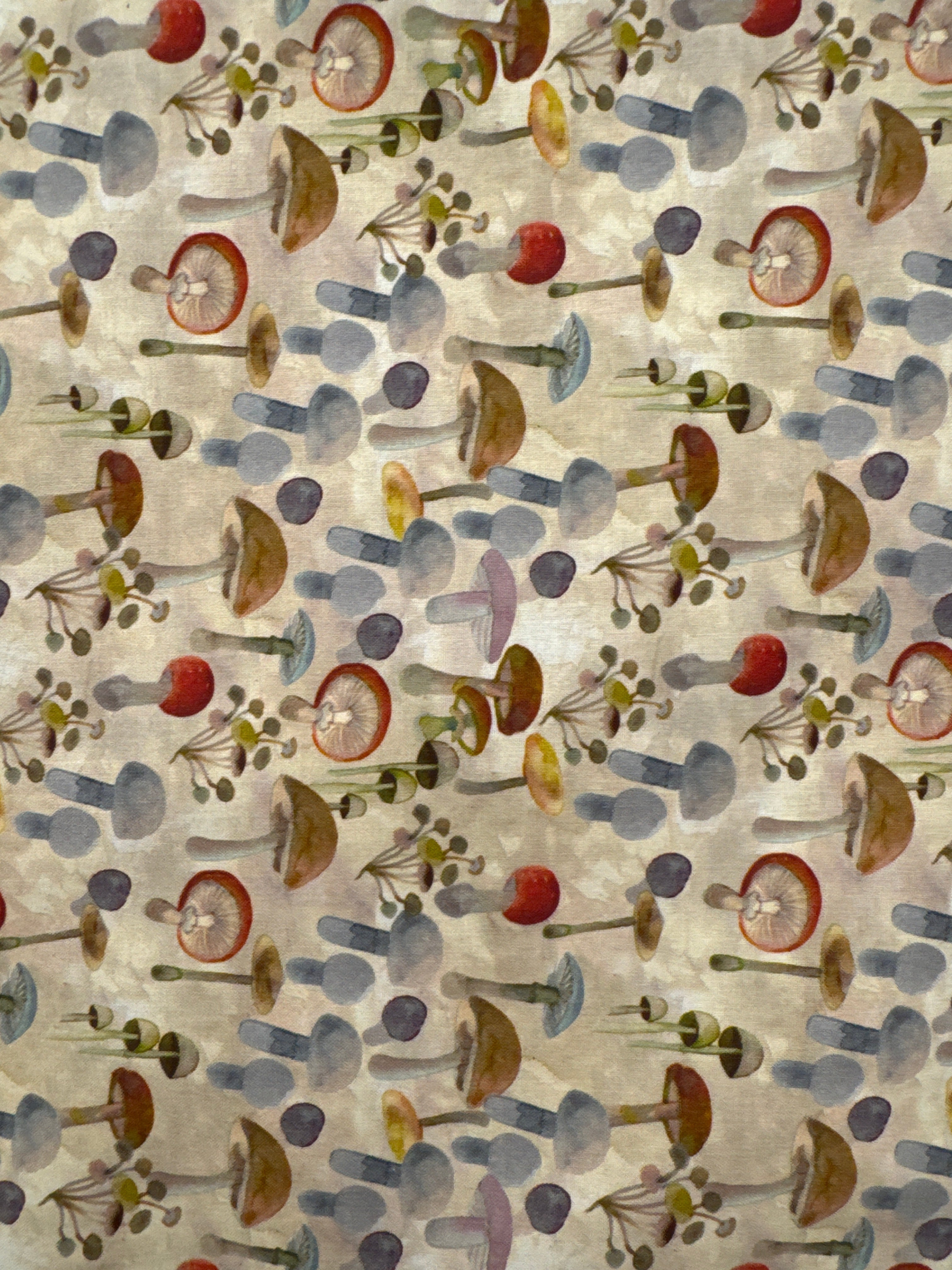 Wild Wonder Mushrooms woodland novelty quilting fabric by Clothworks