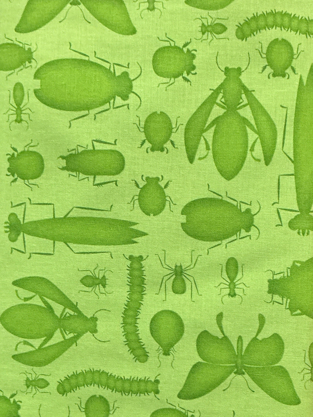 Bug Bug Bug Green novelty quilting fabric by Tim Read for Henry Glass