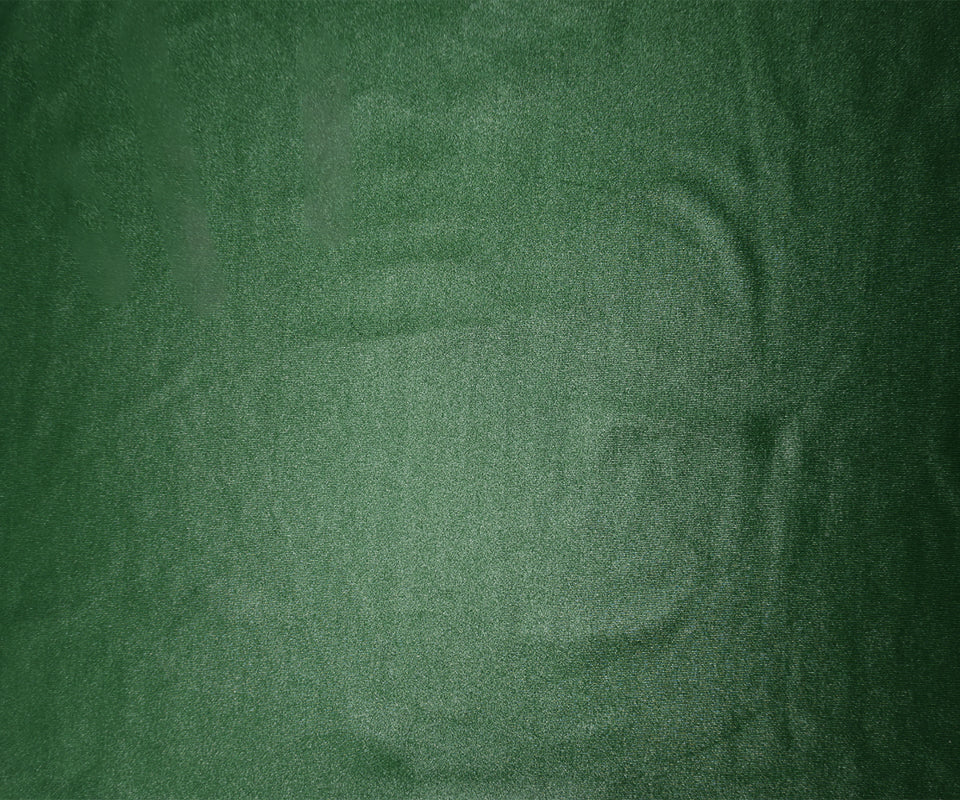 Green Famous Maker Nylon Solid Satin Tricot Knit Yoga Fabric