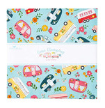 Riley Blake Gone Glamping 10 inch squares, 42 pieces
