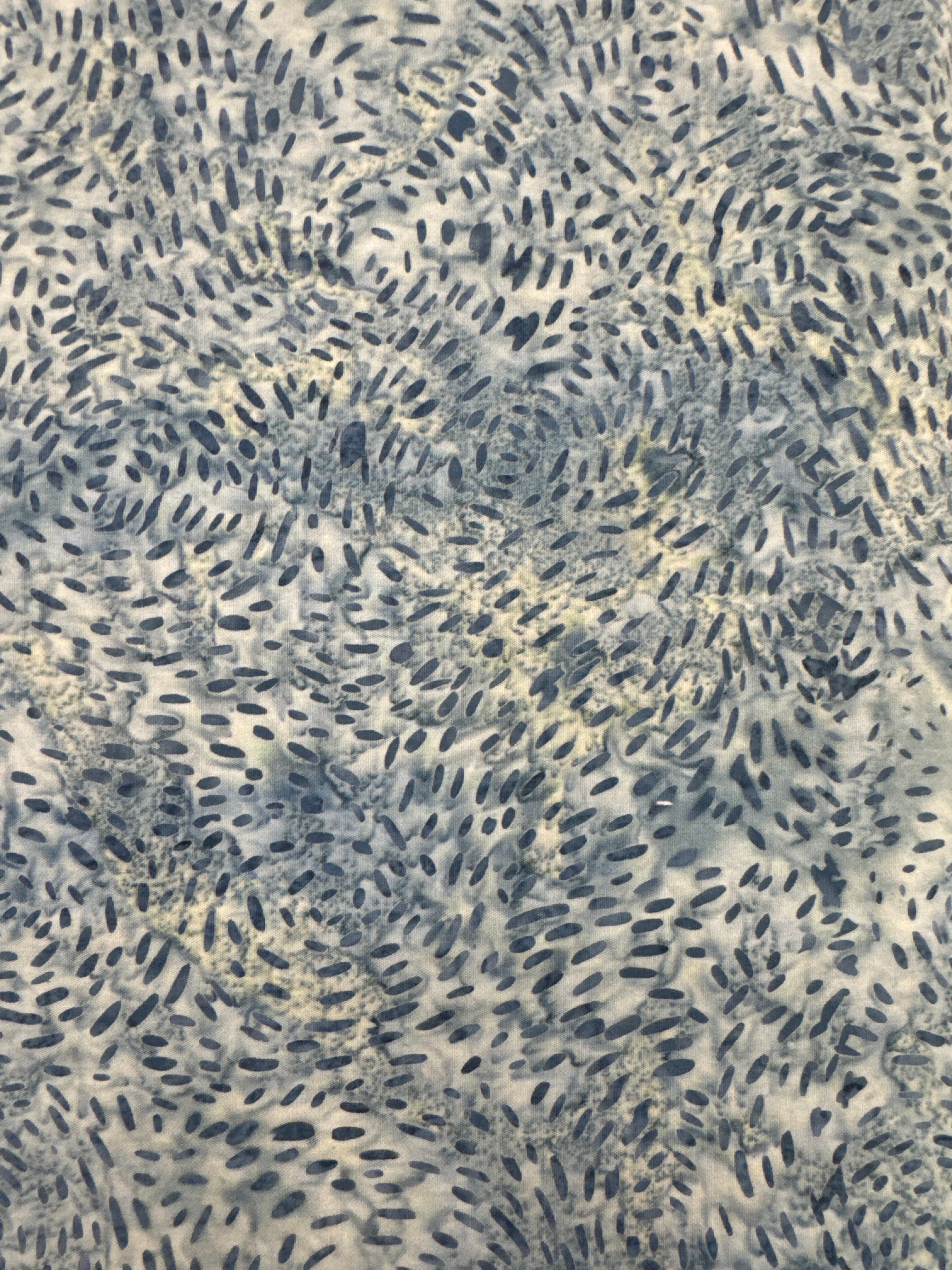 Expressions Mountain High Bayern blender quilting fabric by Riley Blake