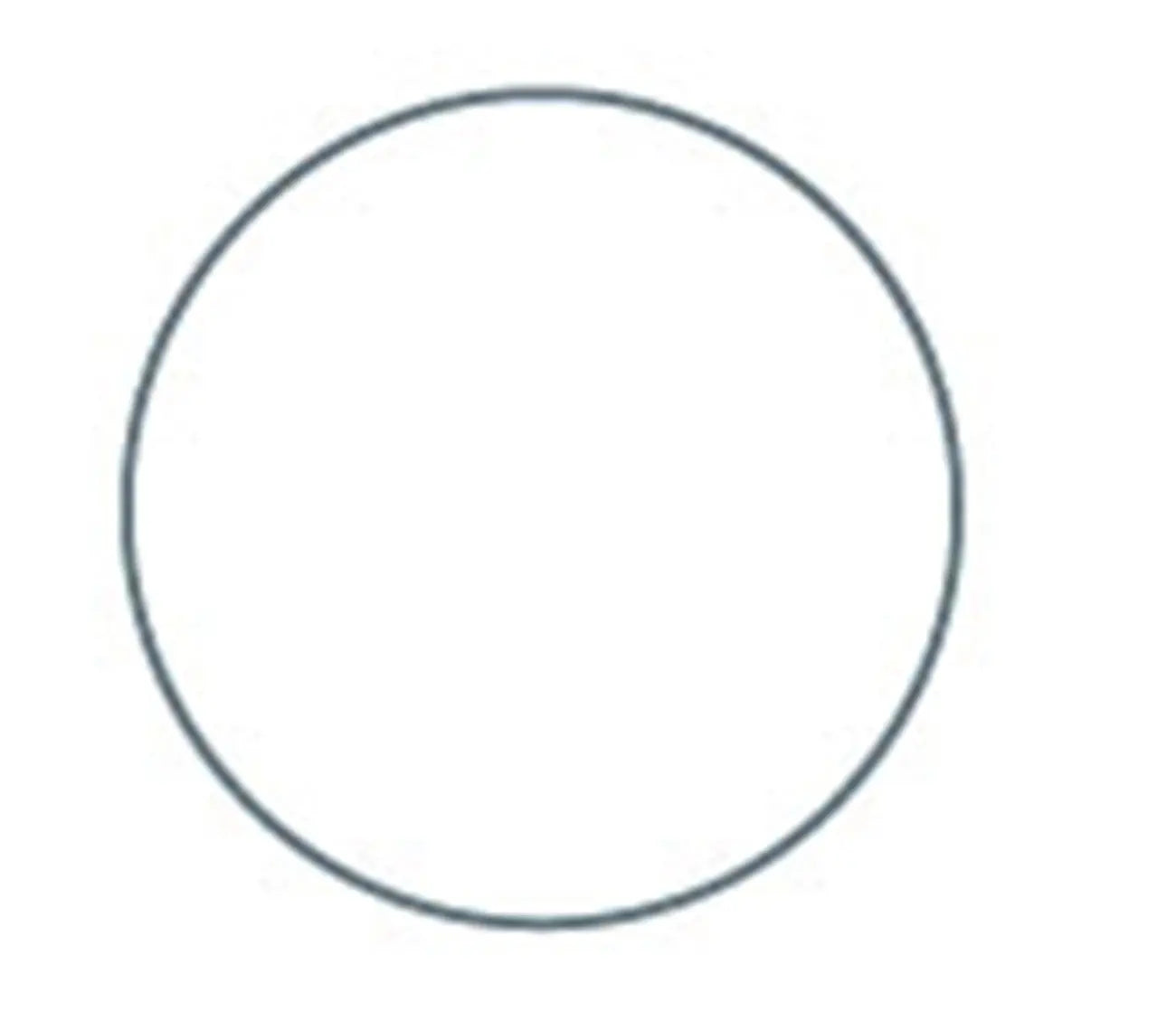 1in Circle EPP Iron-on applique shape x 100