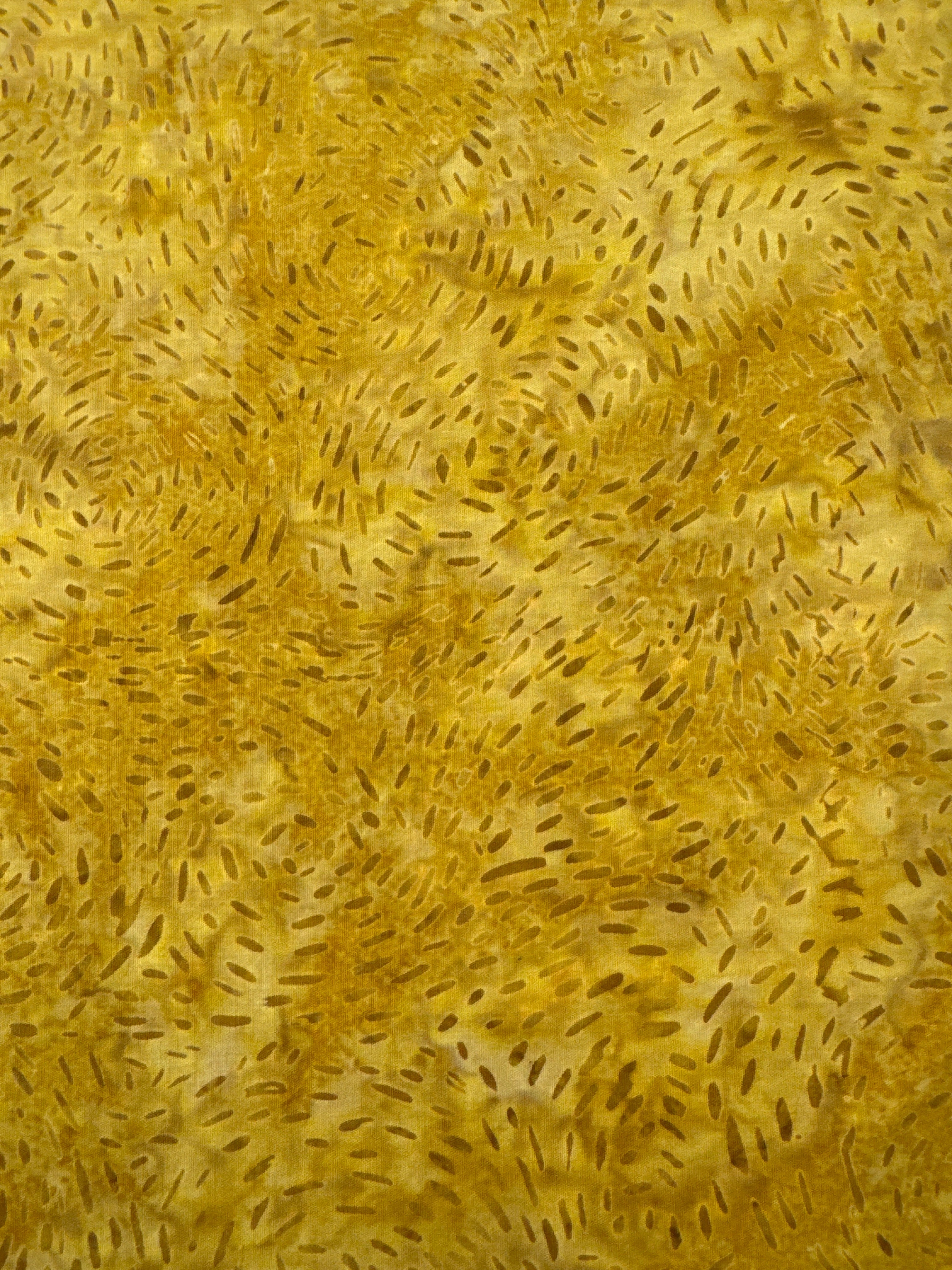 Mountain High Grain brown blender quilting fabric by Riley Blake