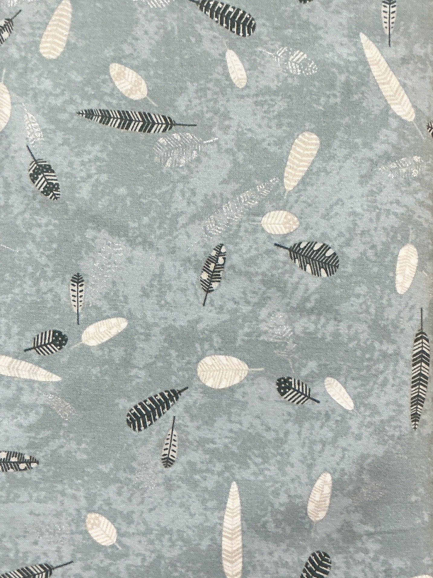 Songbird Slate Feathers novelty quilting fabric by Robert Kaufman