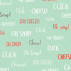 Quilting Treasures Say Cheese retro camera print