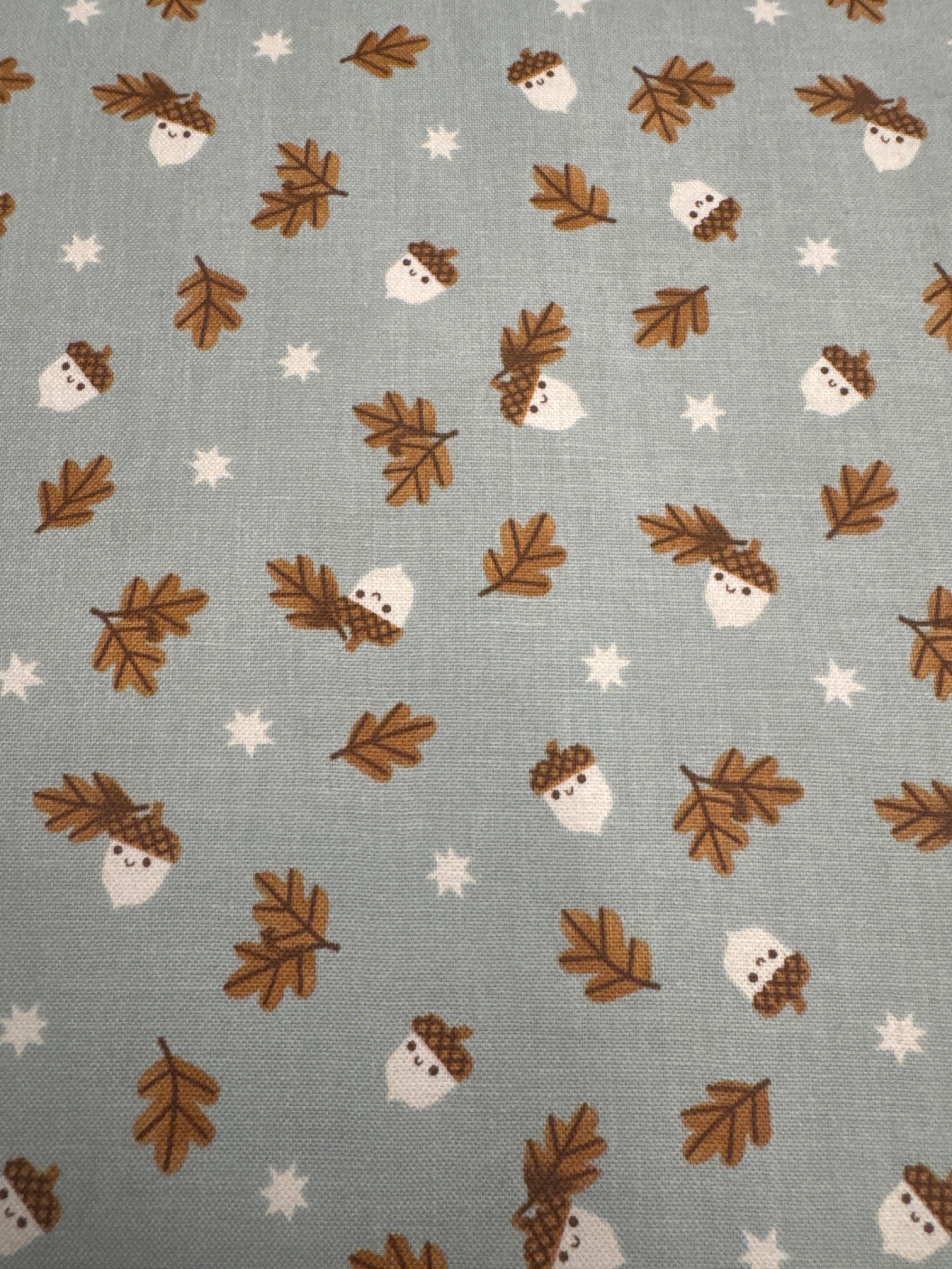 Twilight Creatures Acorn Toss Songbird novelty quilting fabric by Riley Blake