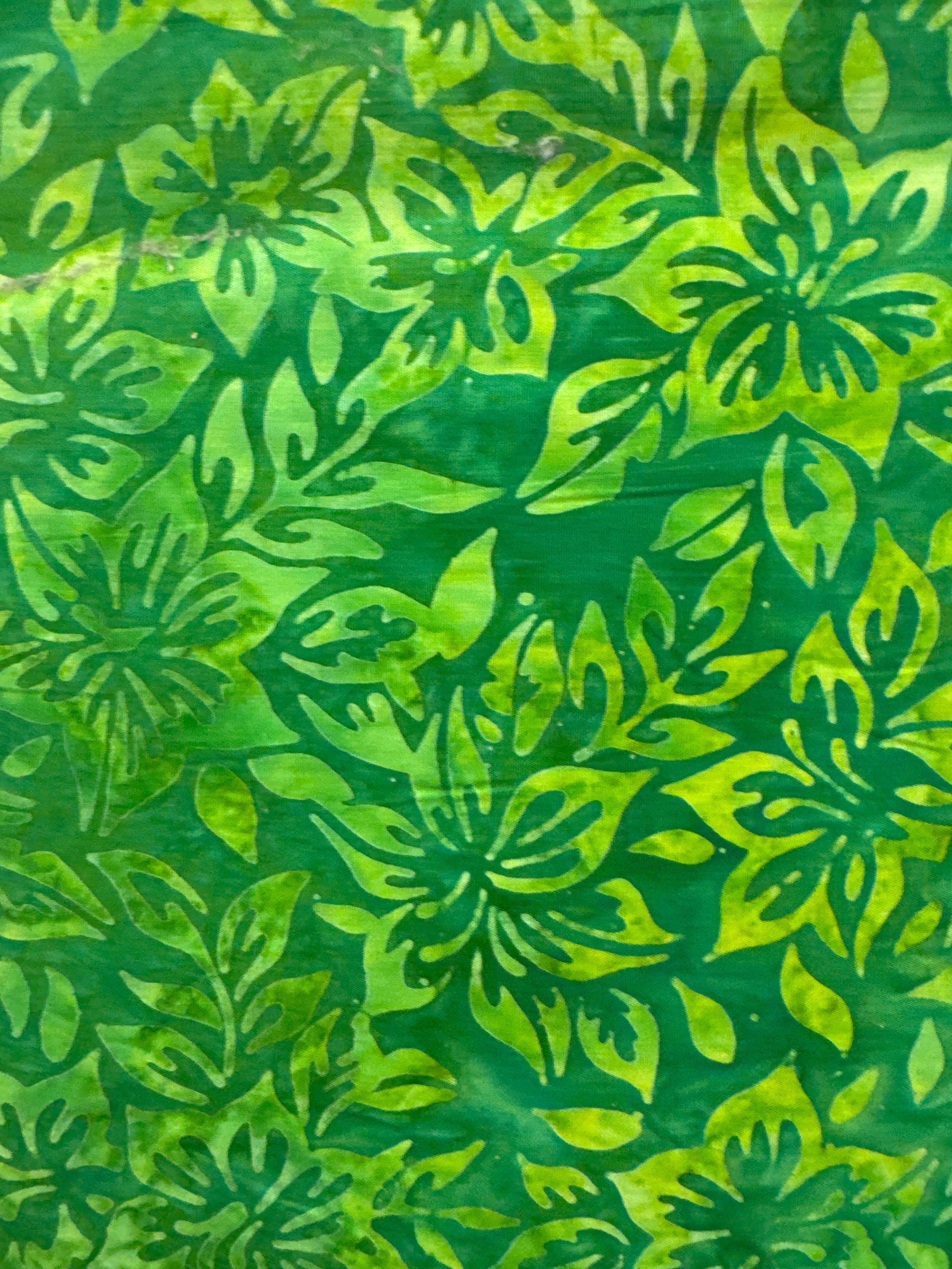 Tropical Haven Gecko green quilting fabric by Robert Kaufman