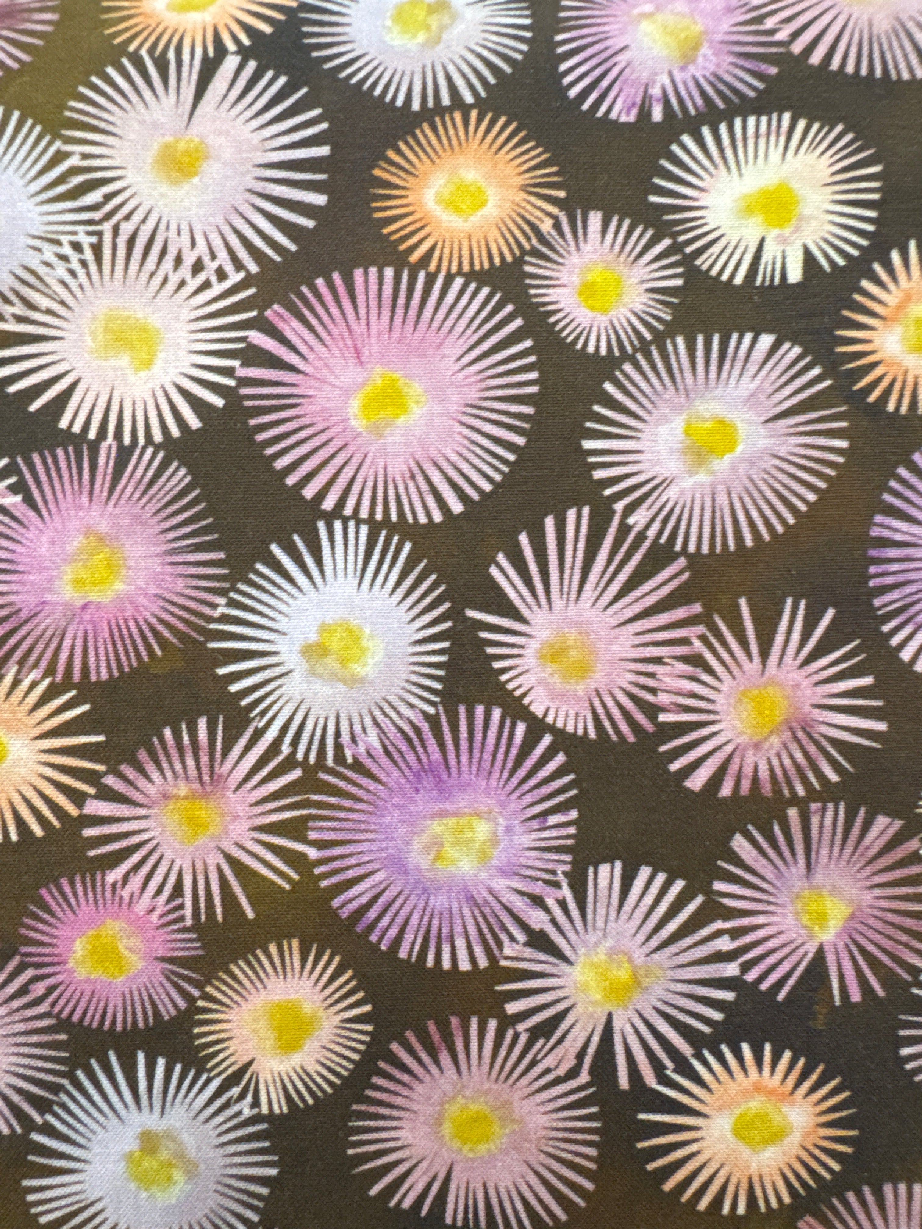 Blooming Lovely Pink Flowers on Brown floral quilting fabric by Moda