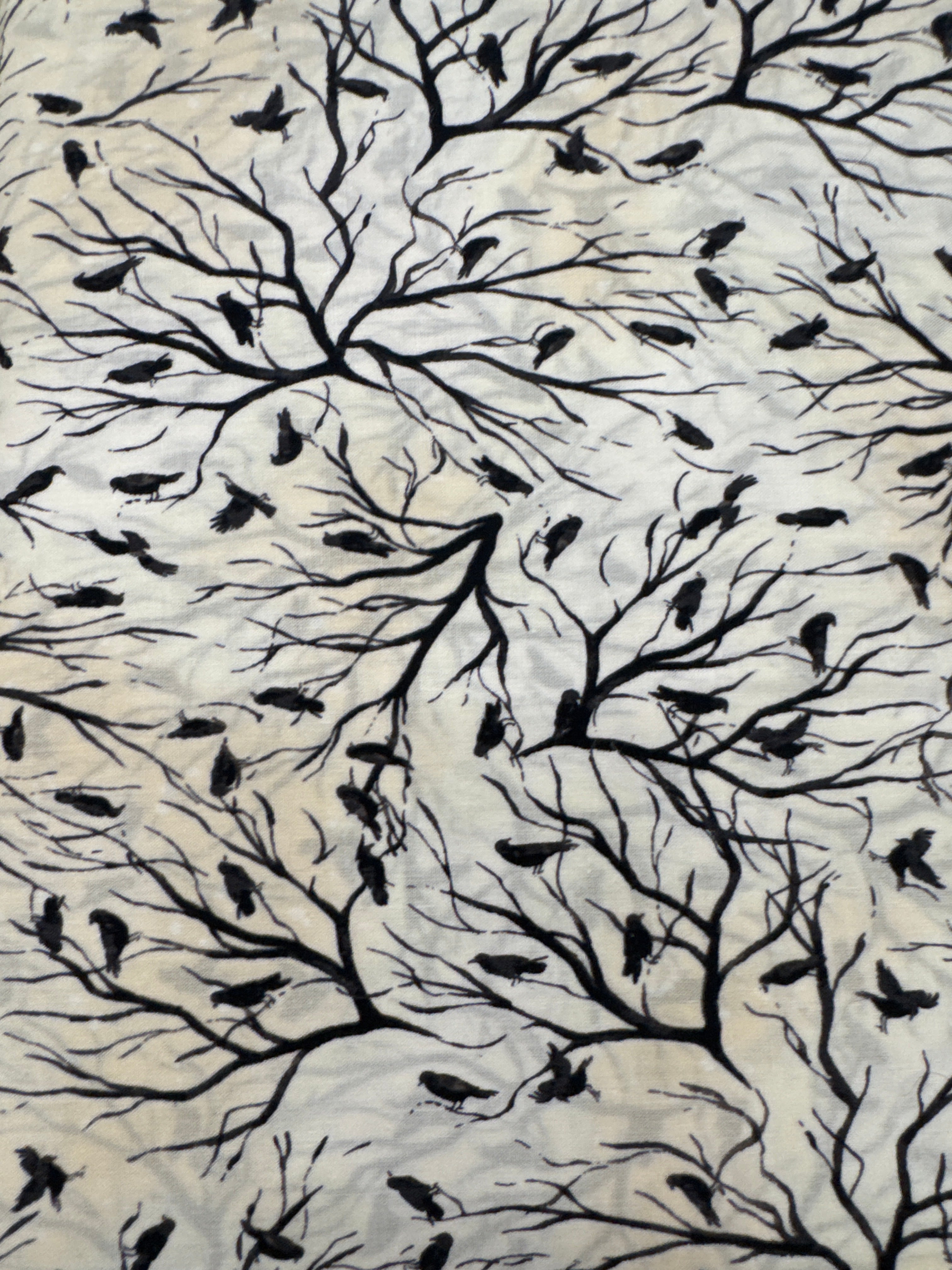 Toil and Trouble White Halloween quilting fabric by Clothworks