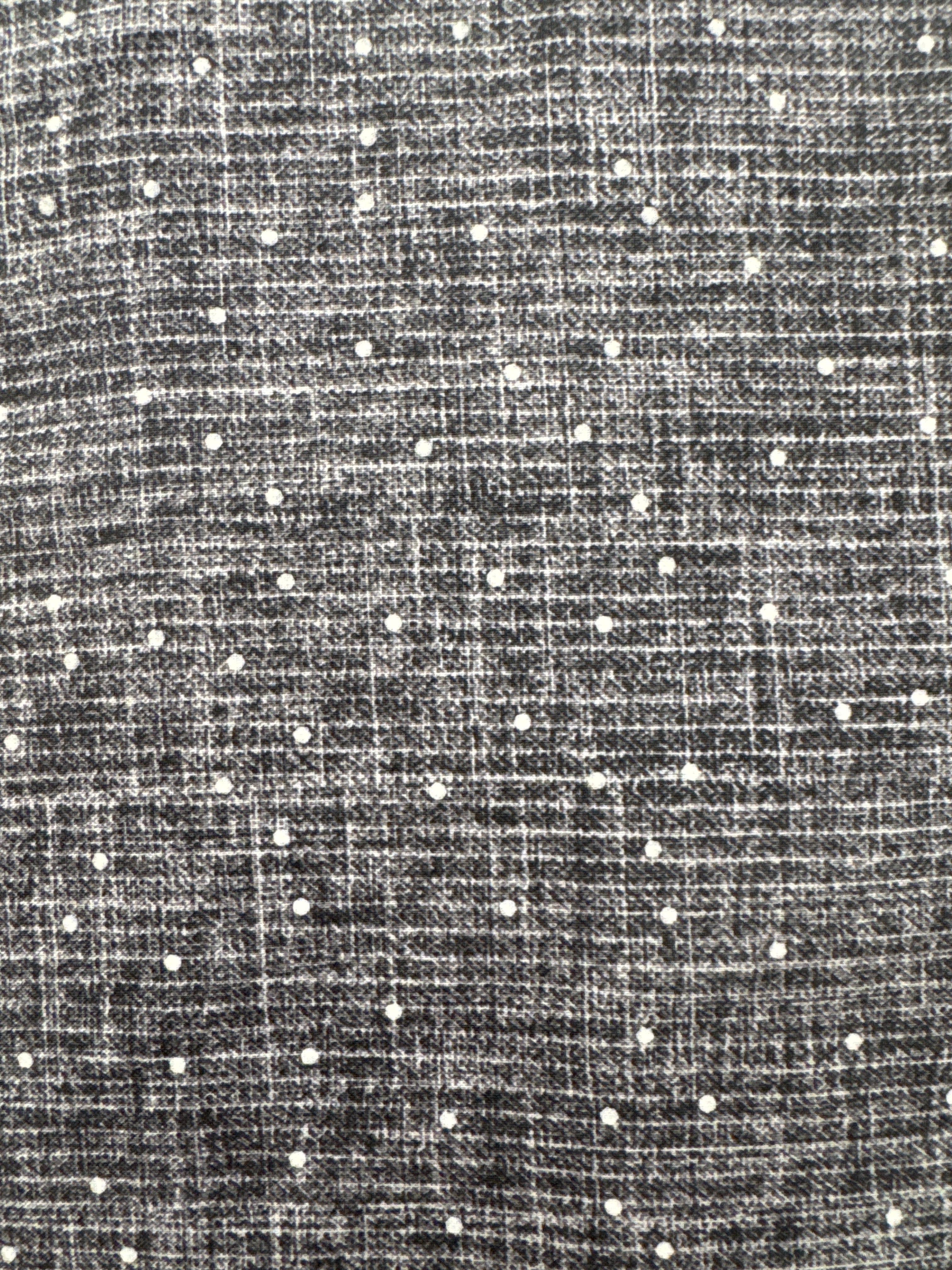 Stash Steel Stripe Dot quilting fabric by Figo