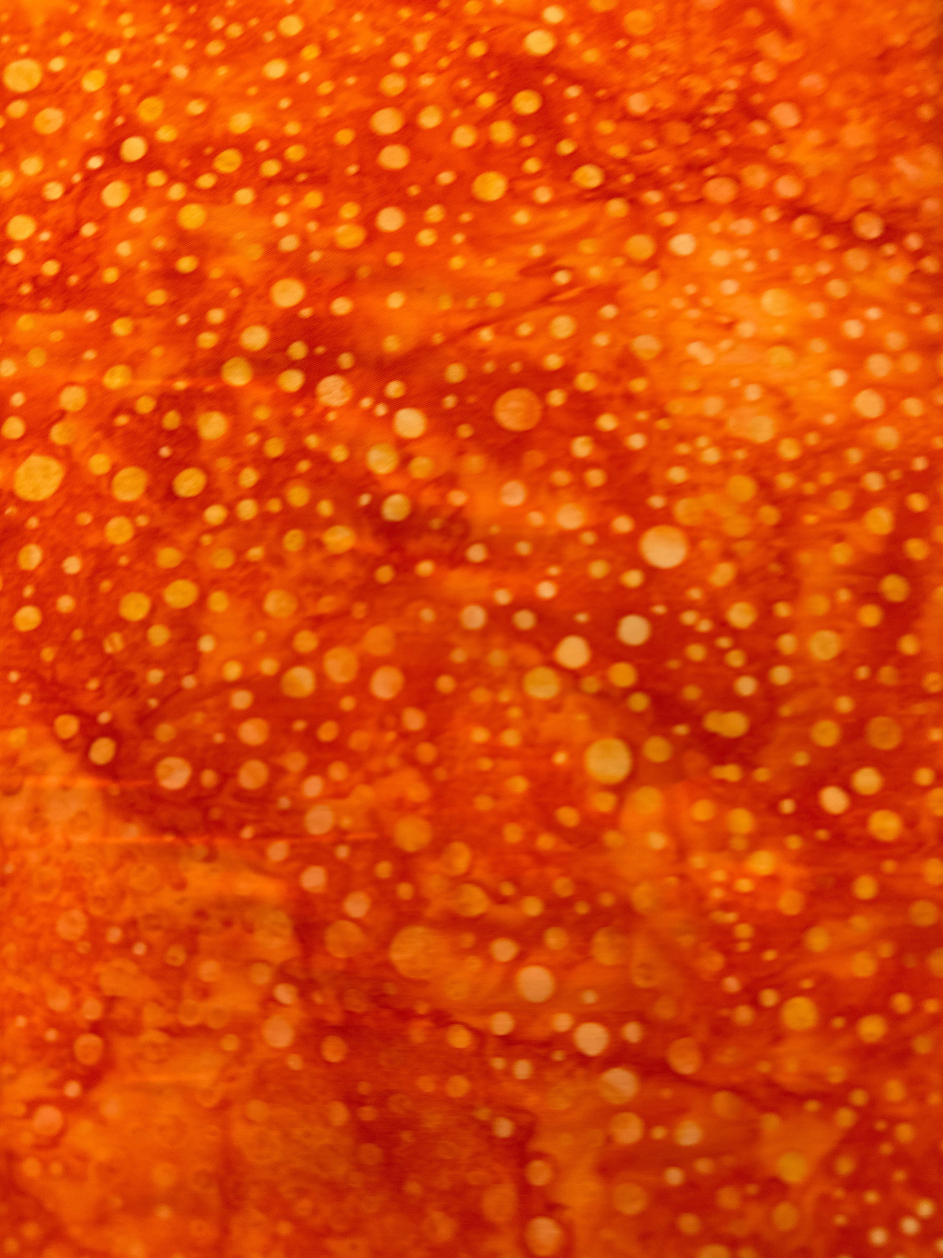 Dotted Goldfish orange dot quilting fabric by Robert Kaufman