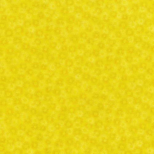 RJR Hopscotch quilting cotton fabric