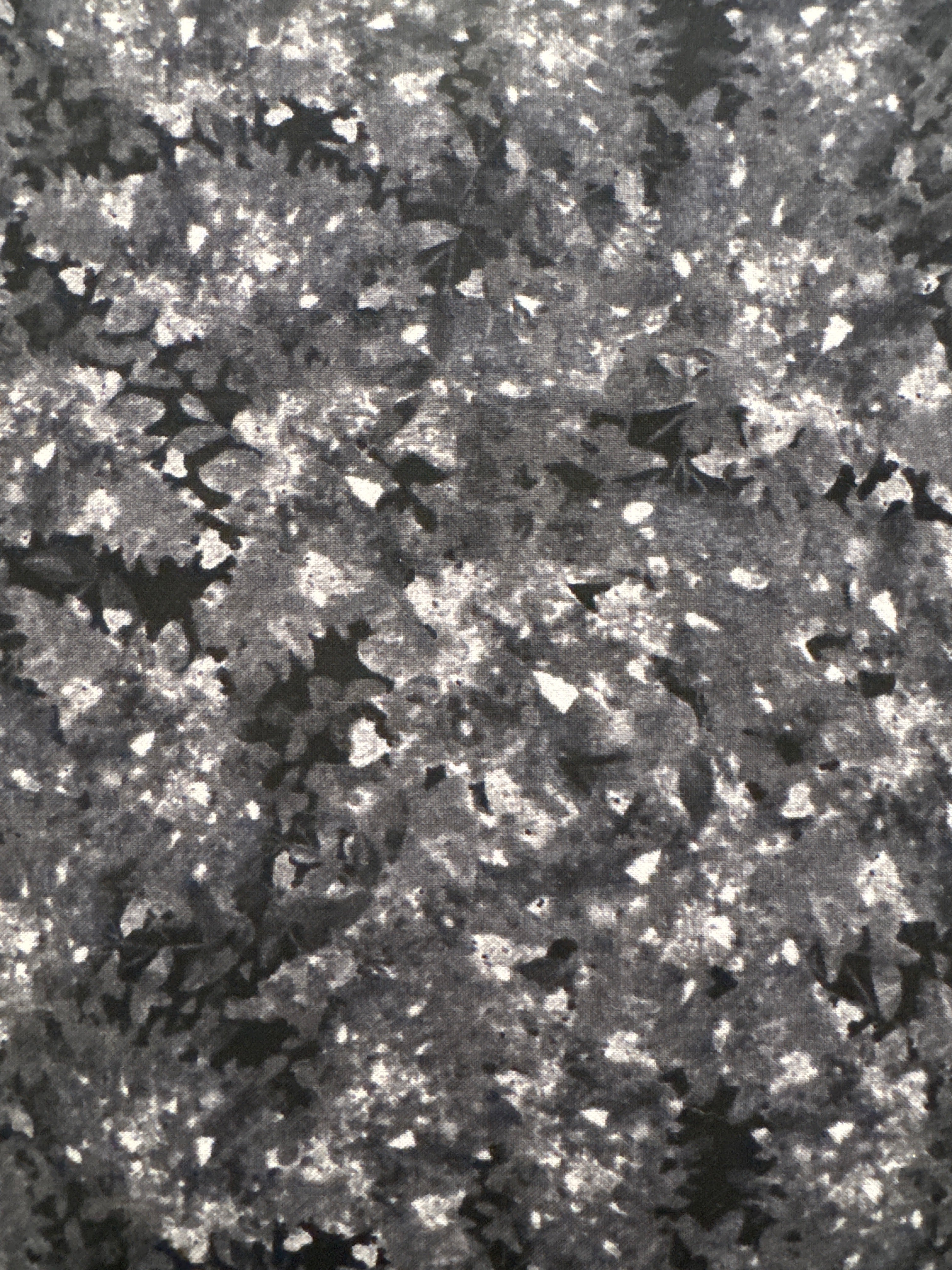 Wilmington Granite Flake on Black quilting fabric