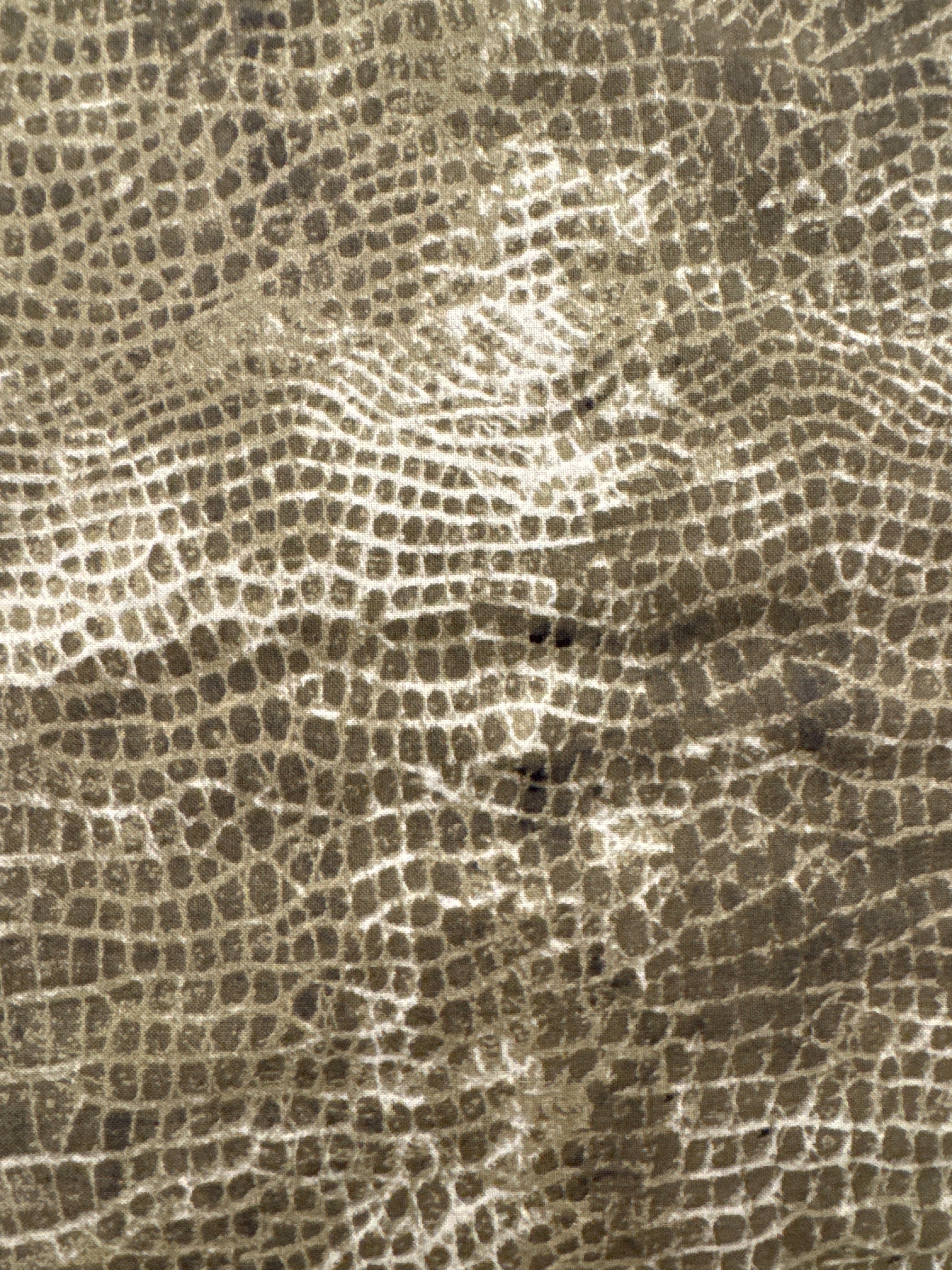 Free Spirit Tim Holtz Electric Elements Bayou Worn Croc quilting fabric
