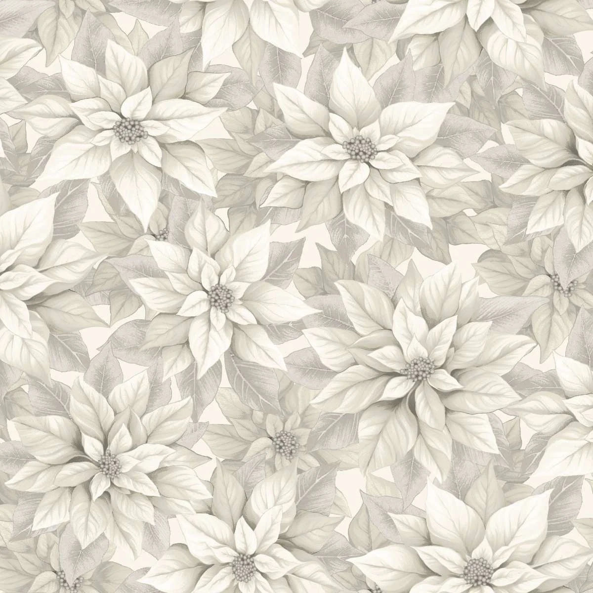 Poinsettia Splendor 108" Winter White Cotton Wideback Fabric Per Yard