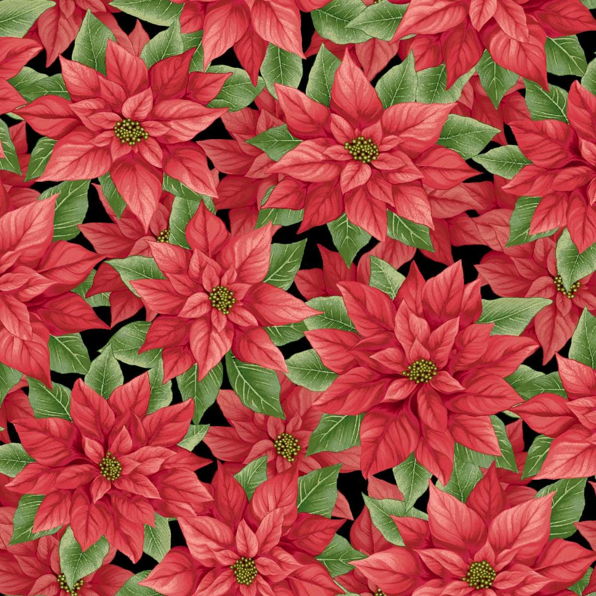 Poinsettia Splendor 108" Black and Red Multi Cotton Wideback Fabric Per Yard