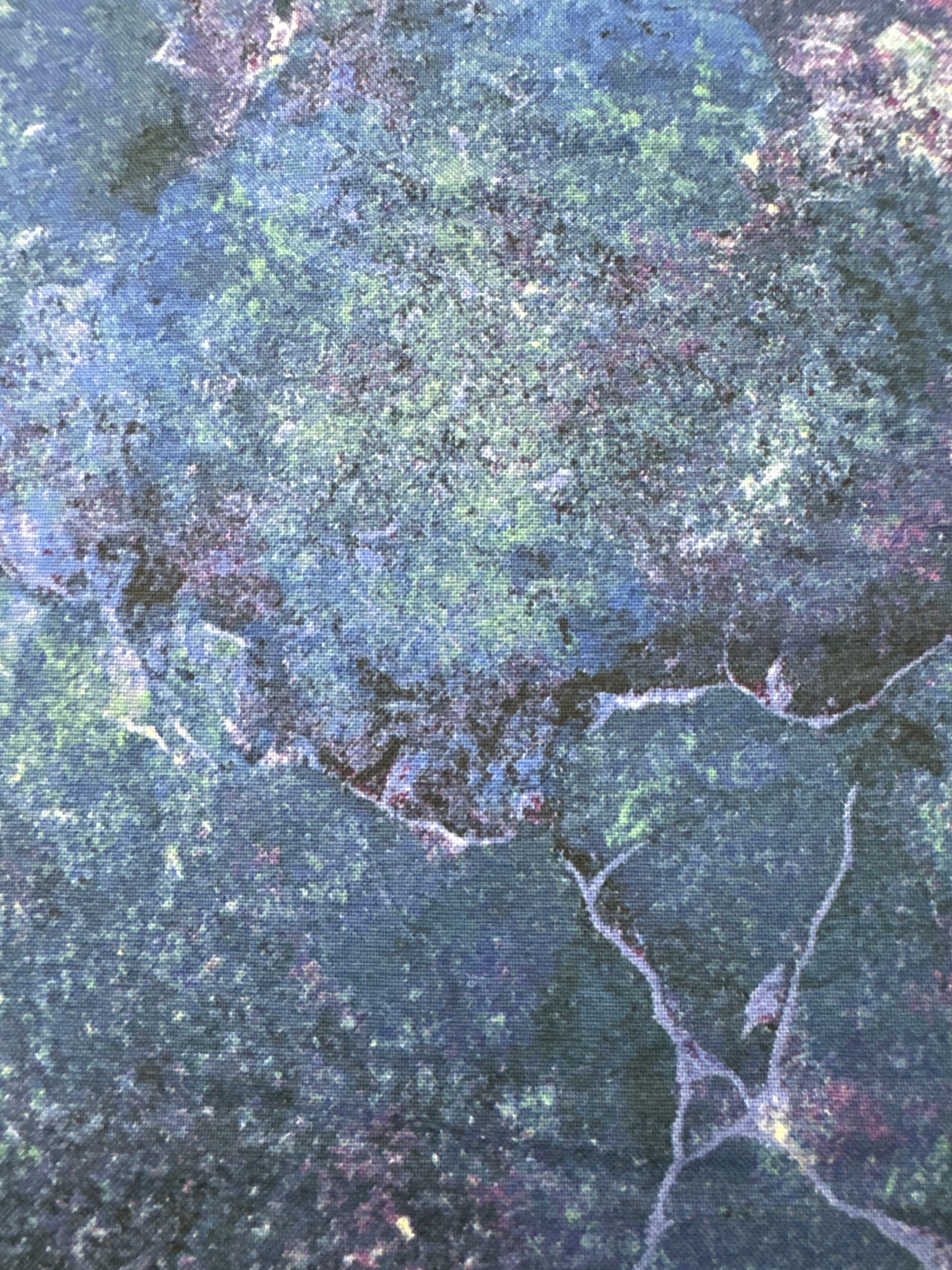Stonehenge Gradations II Quartz Twilight blender quilting fabric by Northcott