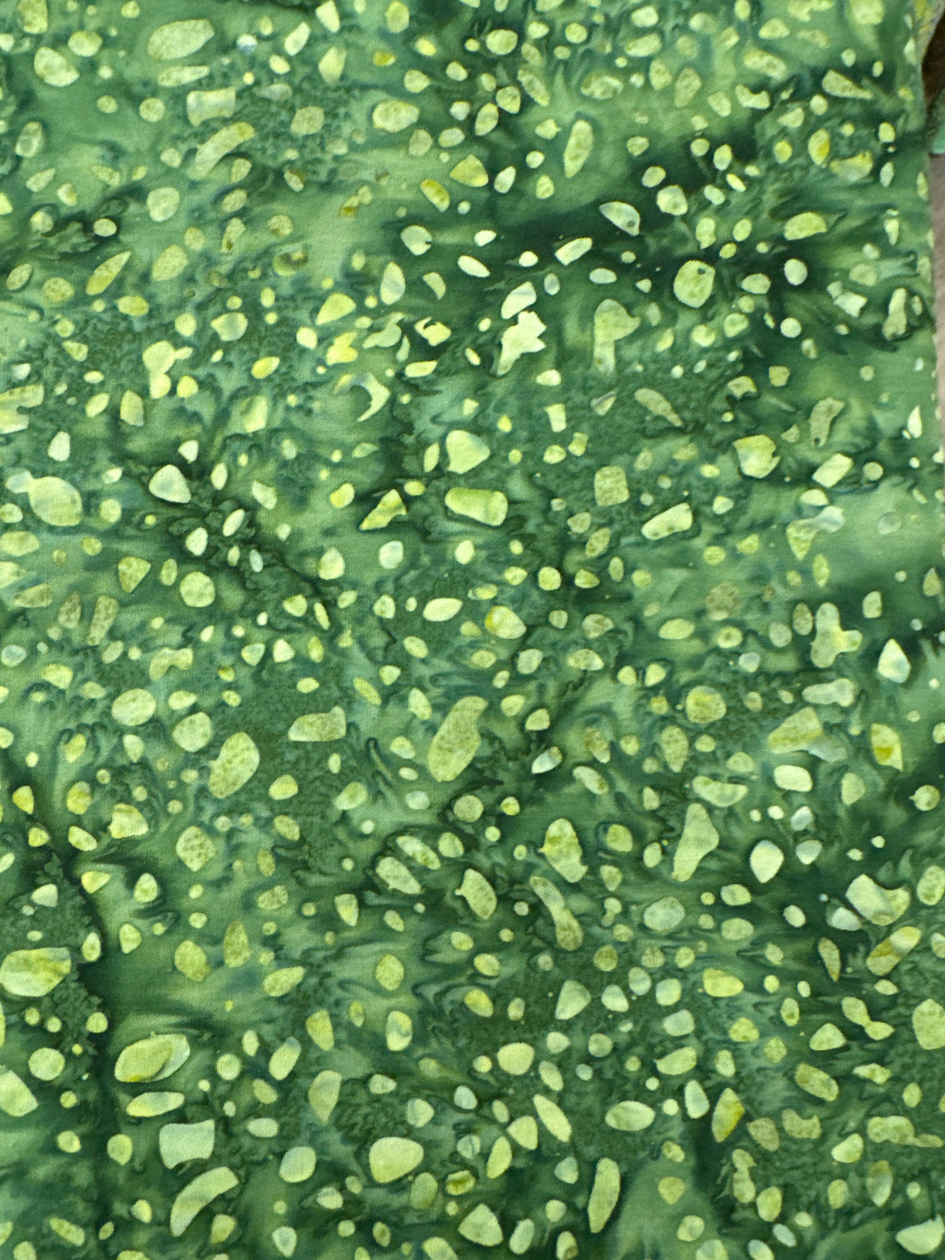 Riley Blake Expressions Thyme quilting fabric