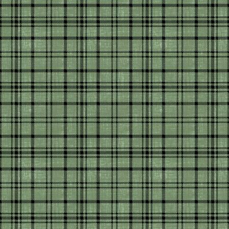 Wilmington Timberland Trails Plaid Texture quilting fabric in Green