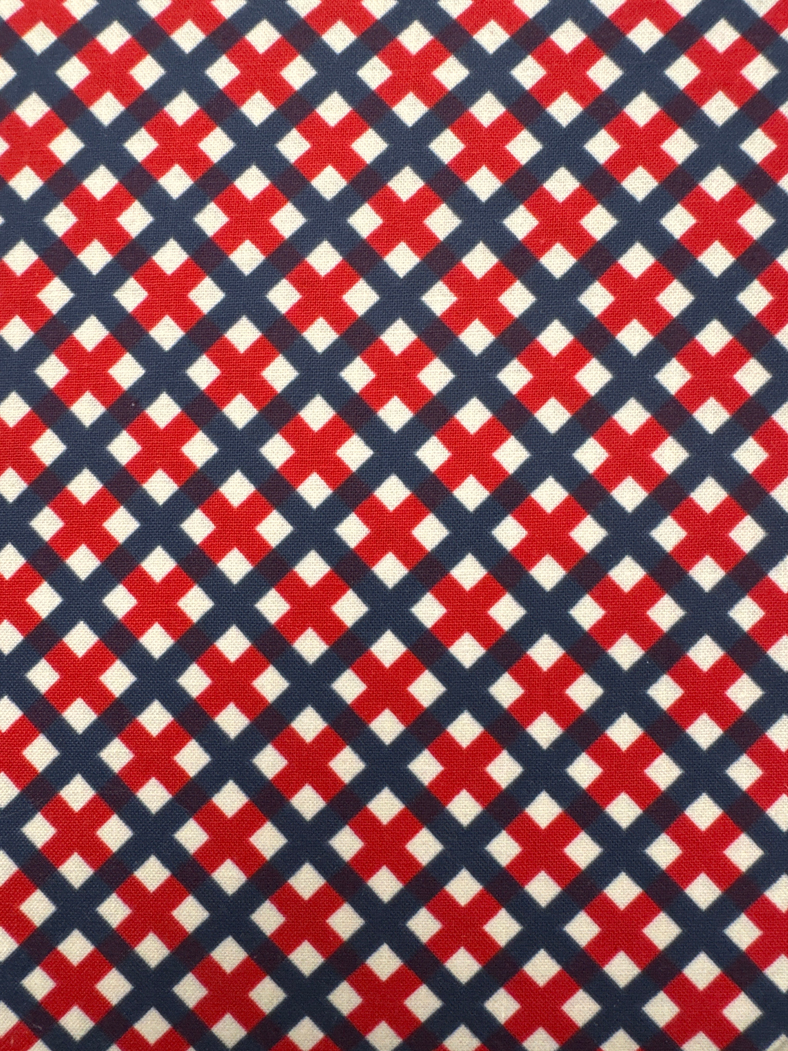 Sweet Freedom Gingham Picnic Multi plaid quilting fabric by Riley Blake