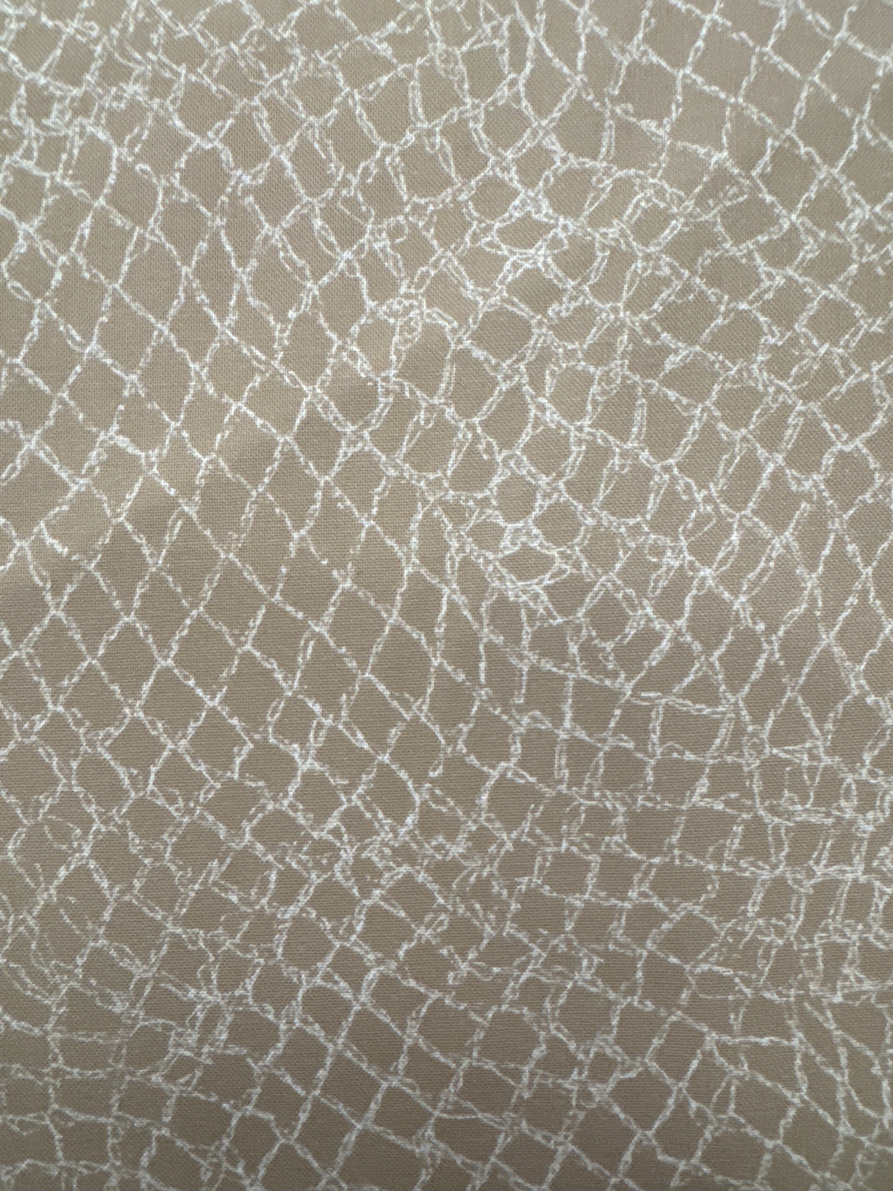 Longshore Tan Snake Print novelty quilting fabric by Moda