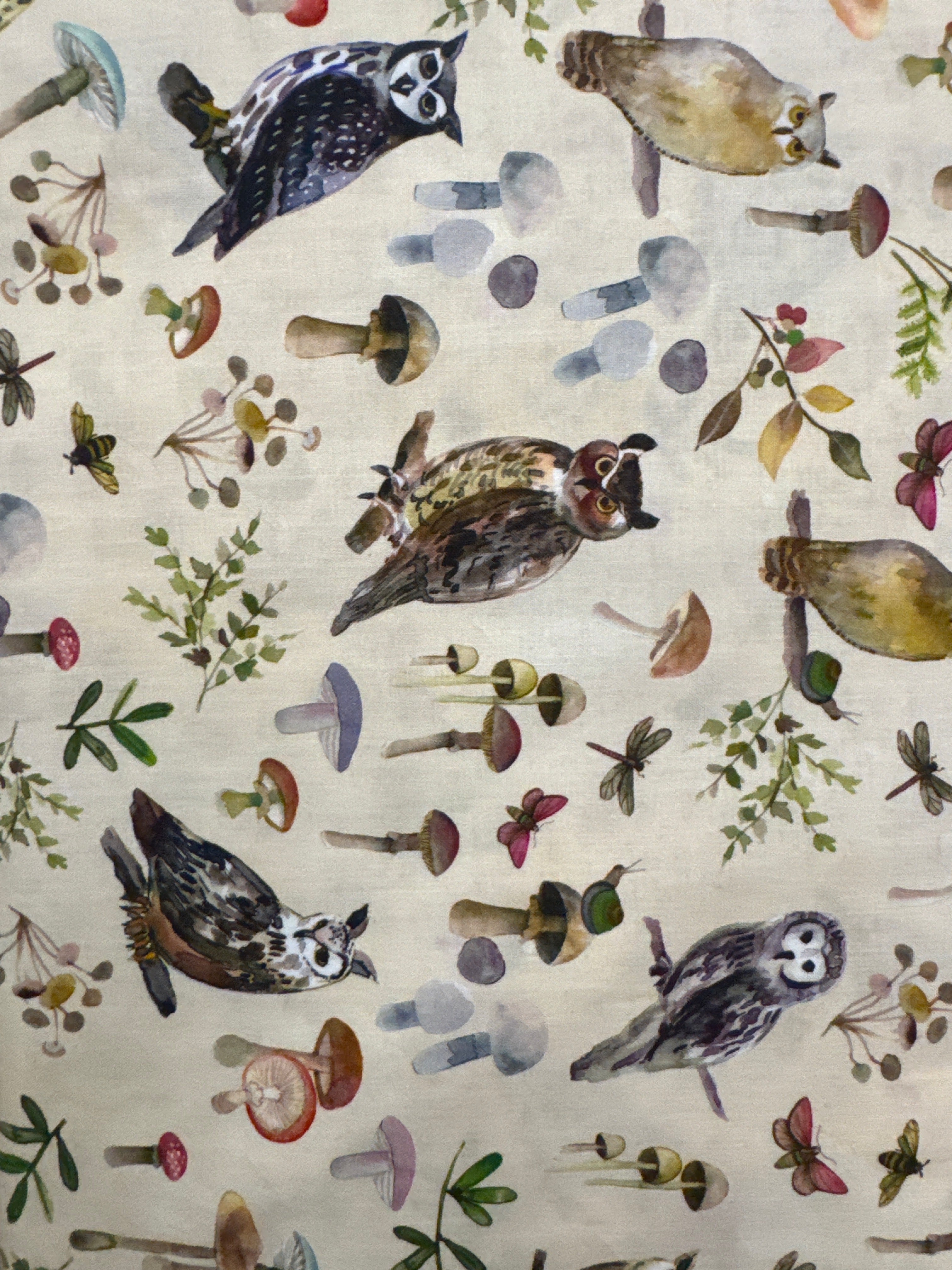 Wild Wonder Owls and Mushrooms woodland novelty quilting fabric by Clothworks