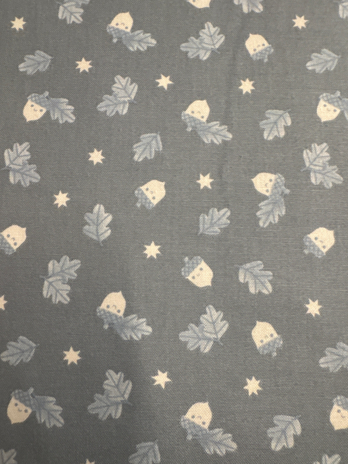 Twilight Creatures Acorn Toss Storm novelty quilting fabric by Riley Blake