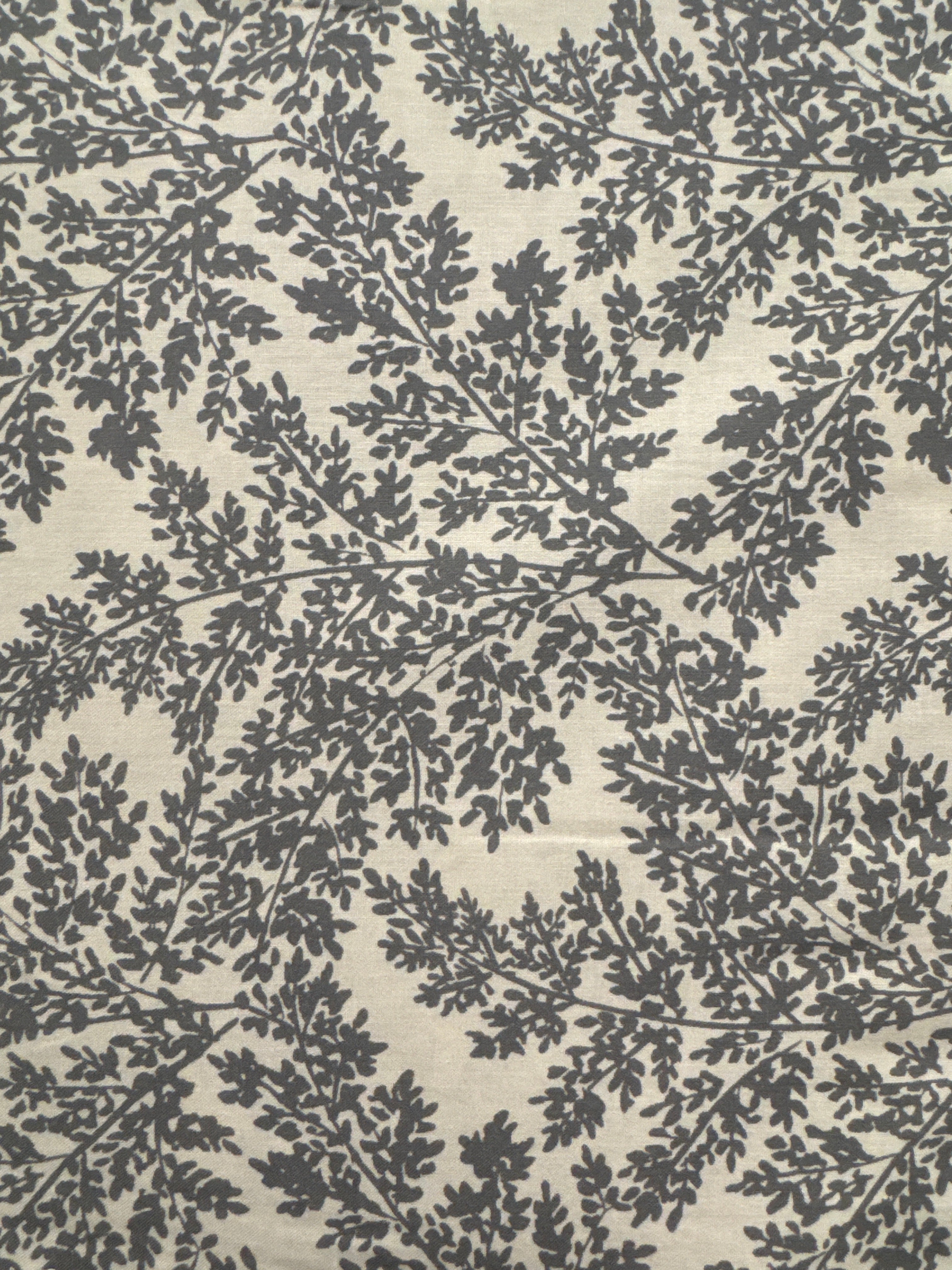 Evermore Gray blender quilting fabric by Clothworks