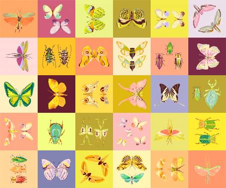 Windham Fabrics Insectarium Square Dance Multi quilting fabric