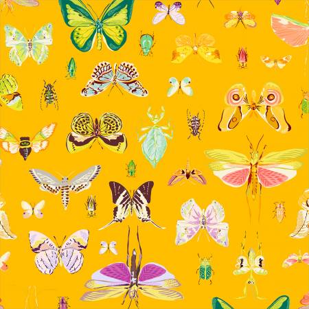 Windham Fabrics Insectarium On Display Amber quilting fabric