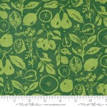 Fruit Loop Grass novelty quilting fabric by Moda