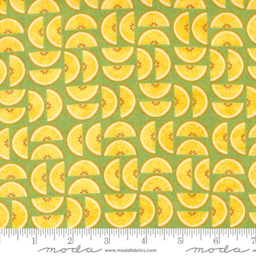Fruit Loop Kiwi Candied Fruit Cotton 44"/45" Fabric Per Yard