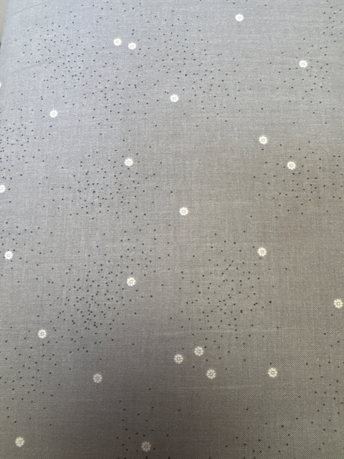 Dainty Daisy Gray floral quilting fabric by Riley Blake