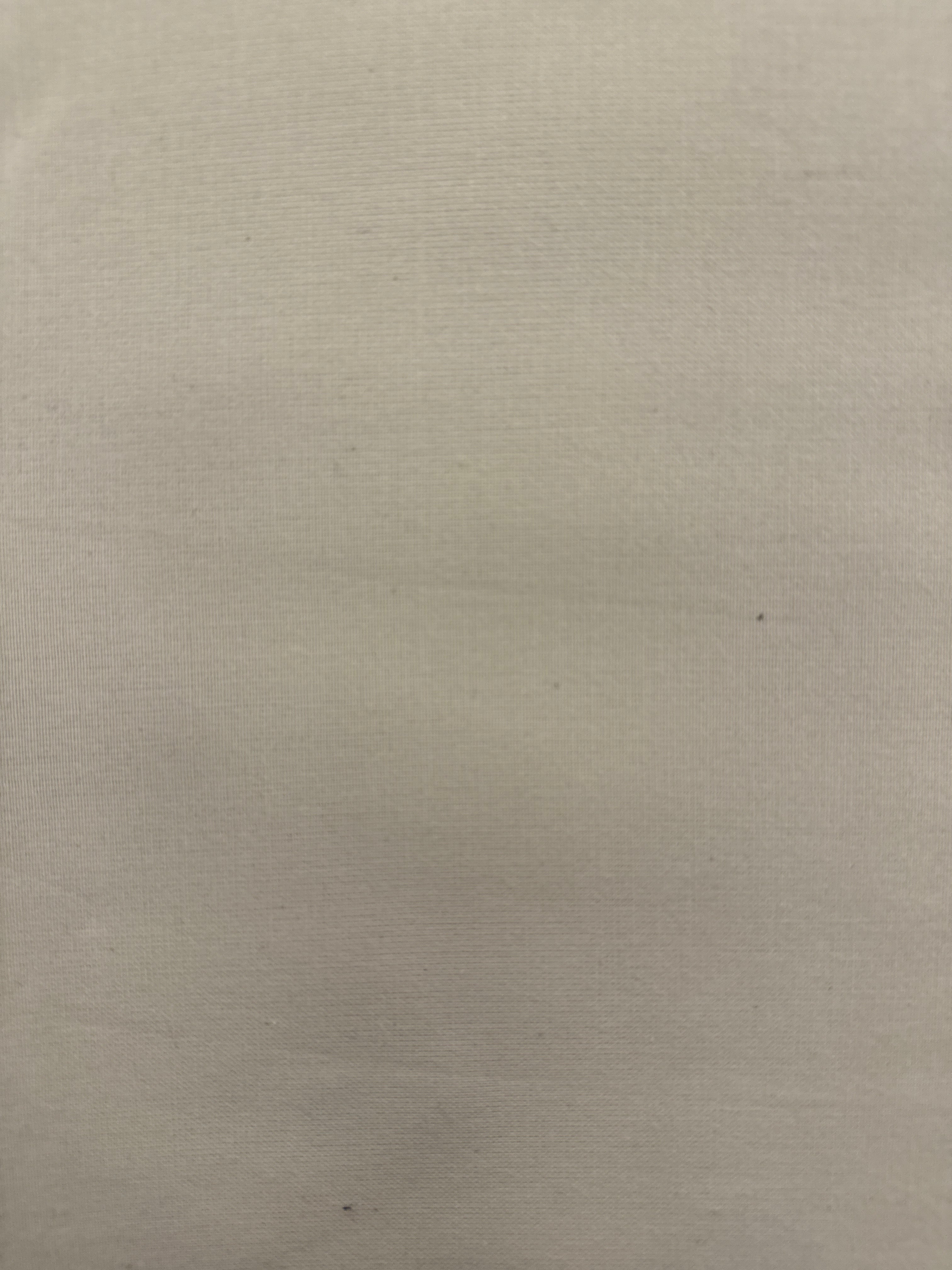 Peppered Cotton Ivory yarn-dyed quilting fabric by Studio E