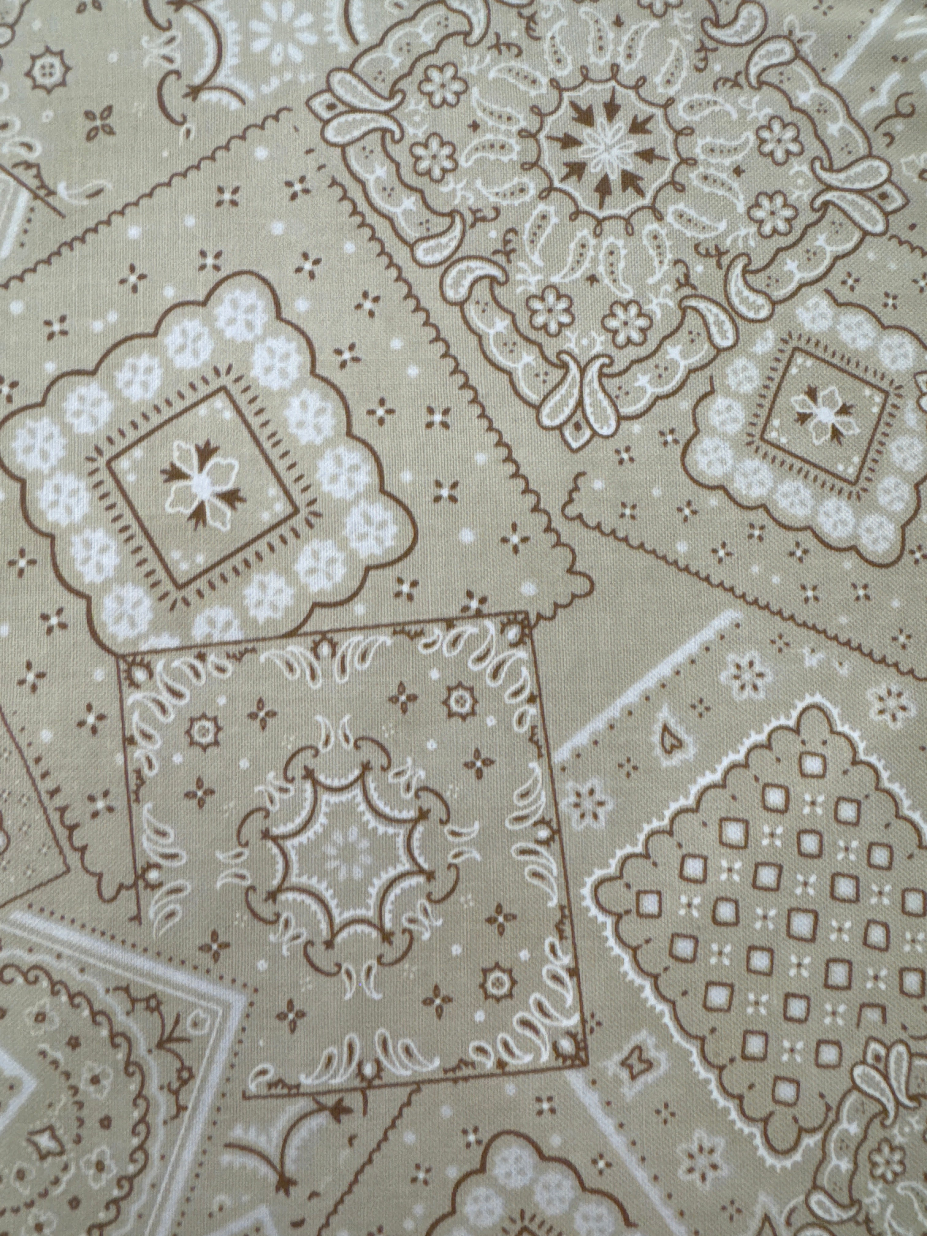 Saddle Ranch Paisley Wheat blender quilting fabric by Moda