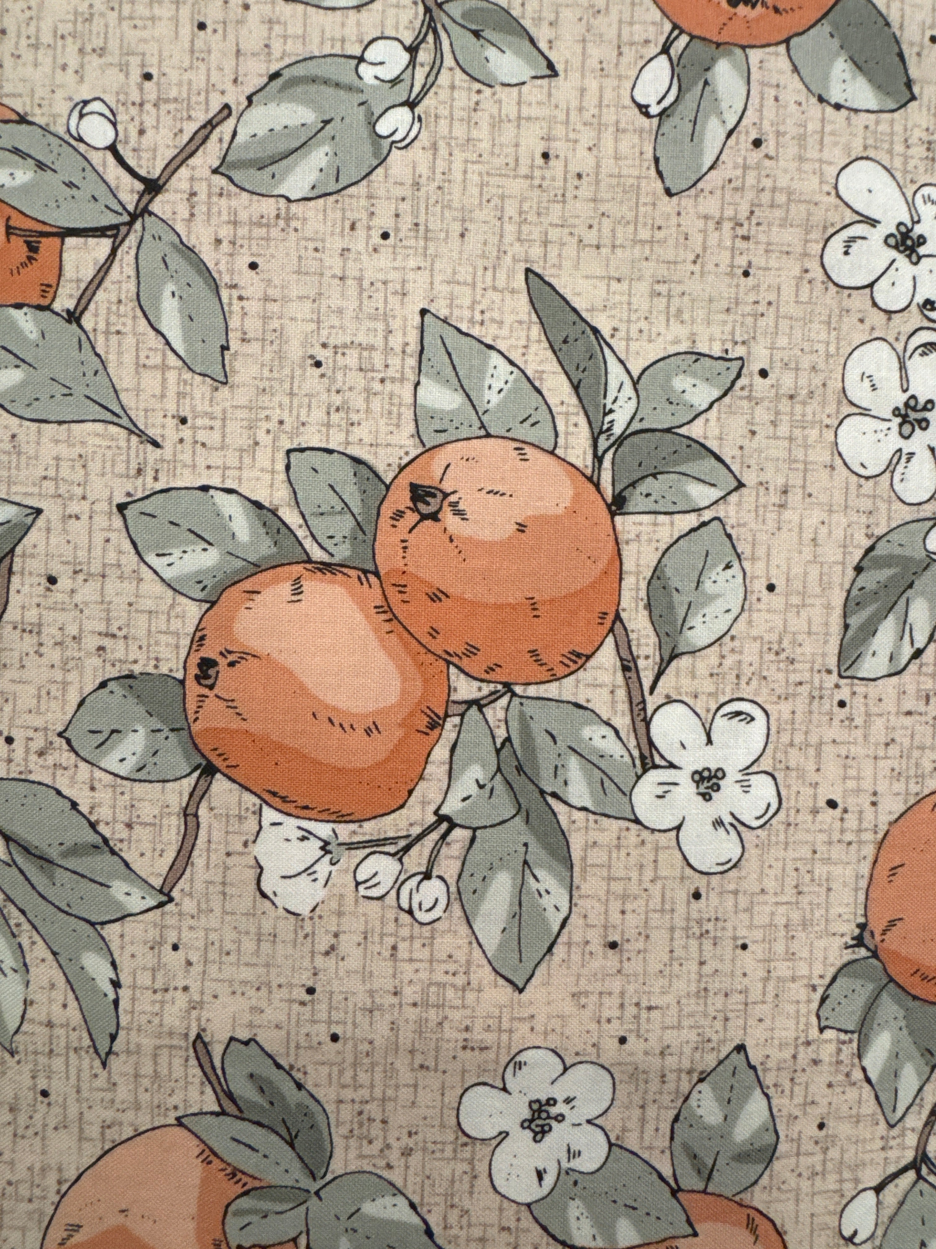 Klara Blush Apples pink novelty quilting fabric by Figo