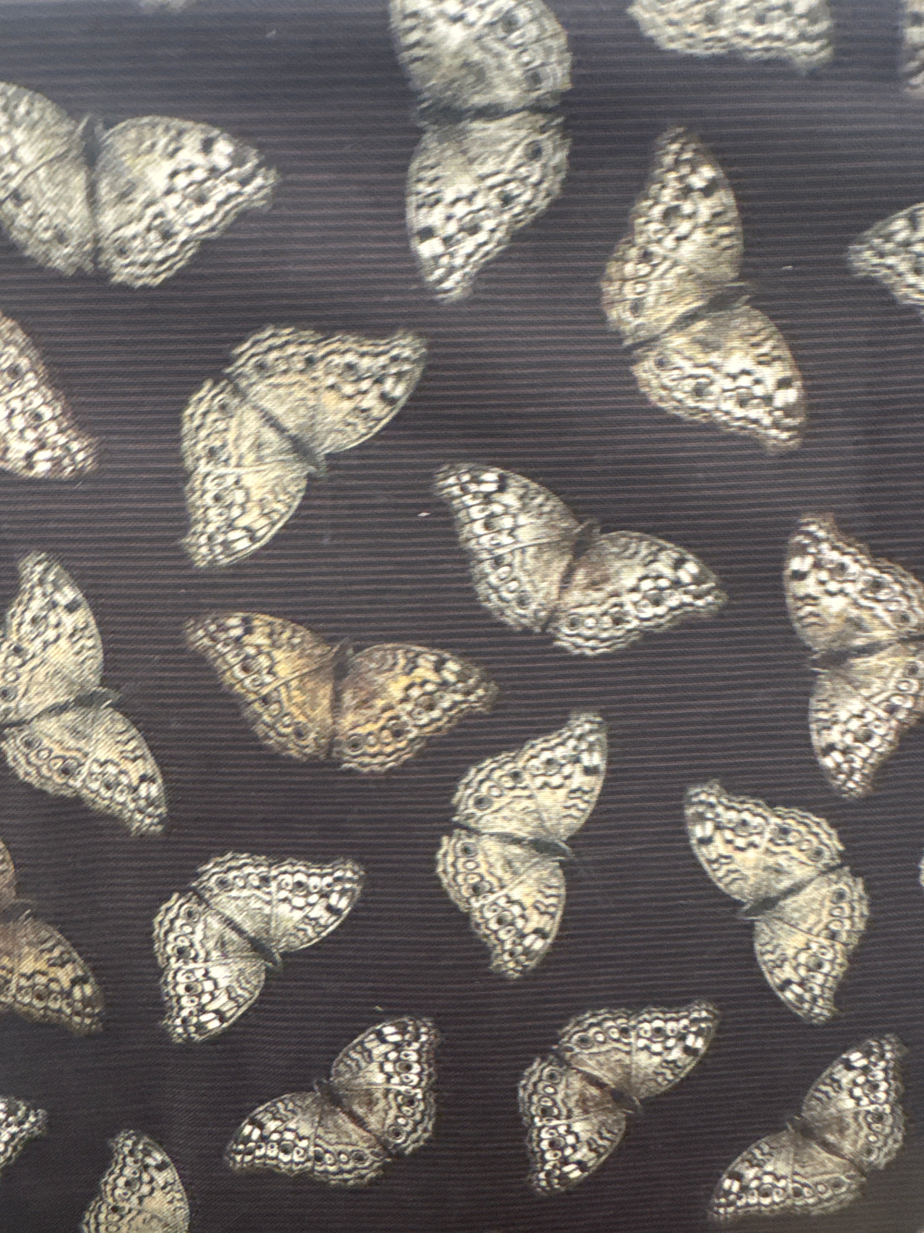 Natures Whisper Butterfly Ebony black nature quilting fabric