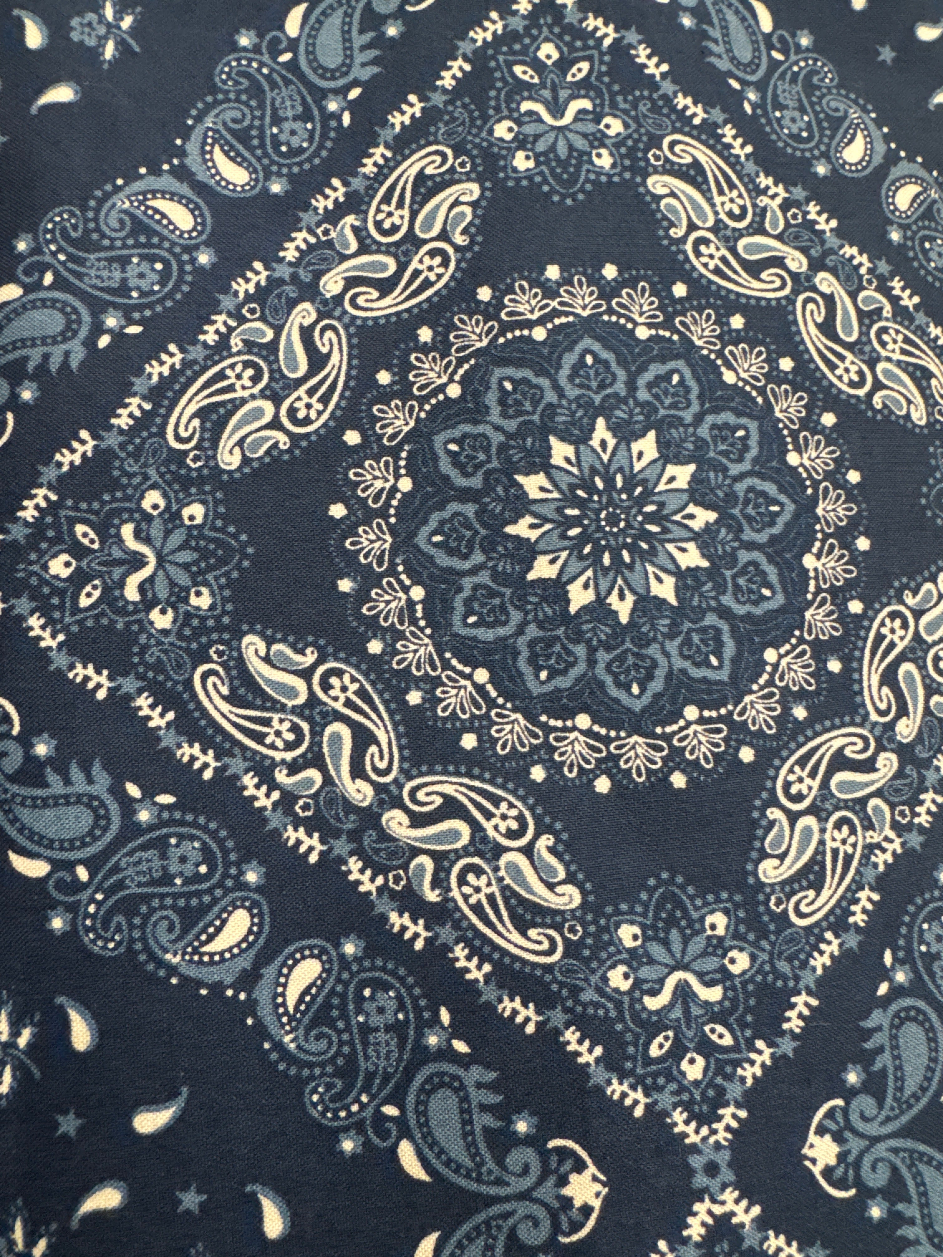 Blue Paisley 108 inch wideback quilting fabric by Windham Fabrics