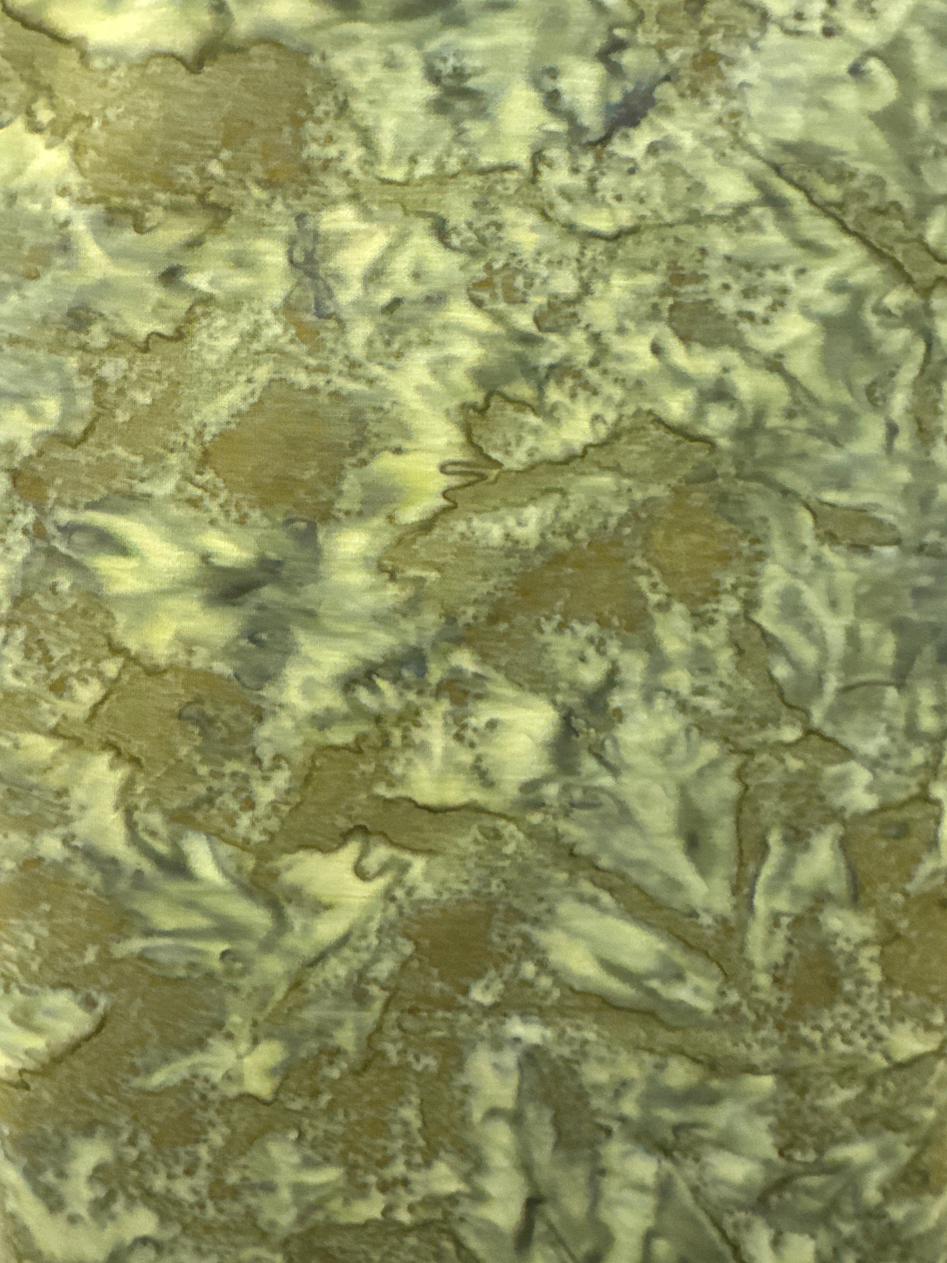 Riley Blake Expressions Khaki quilting fabric