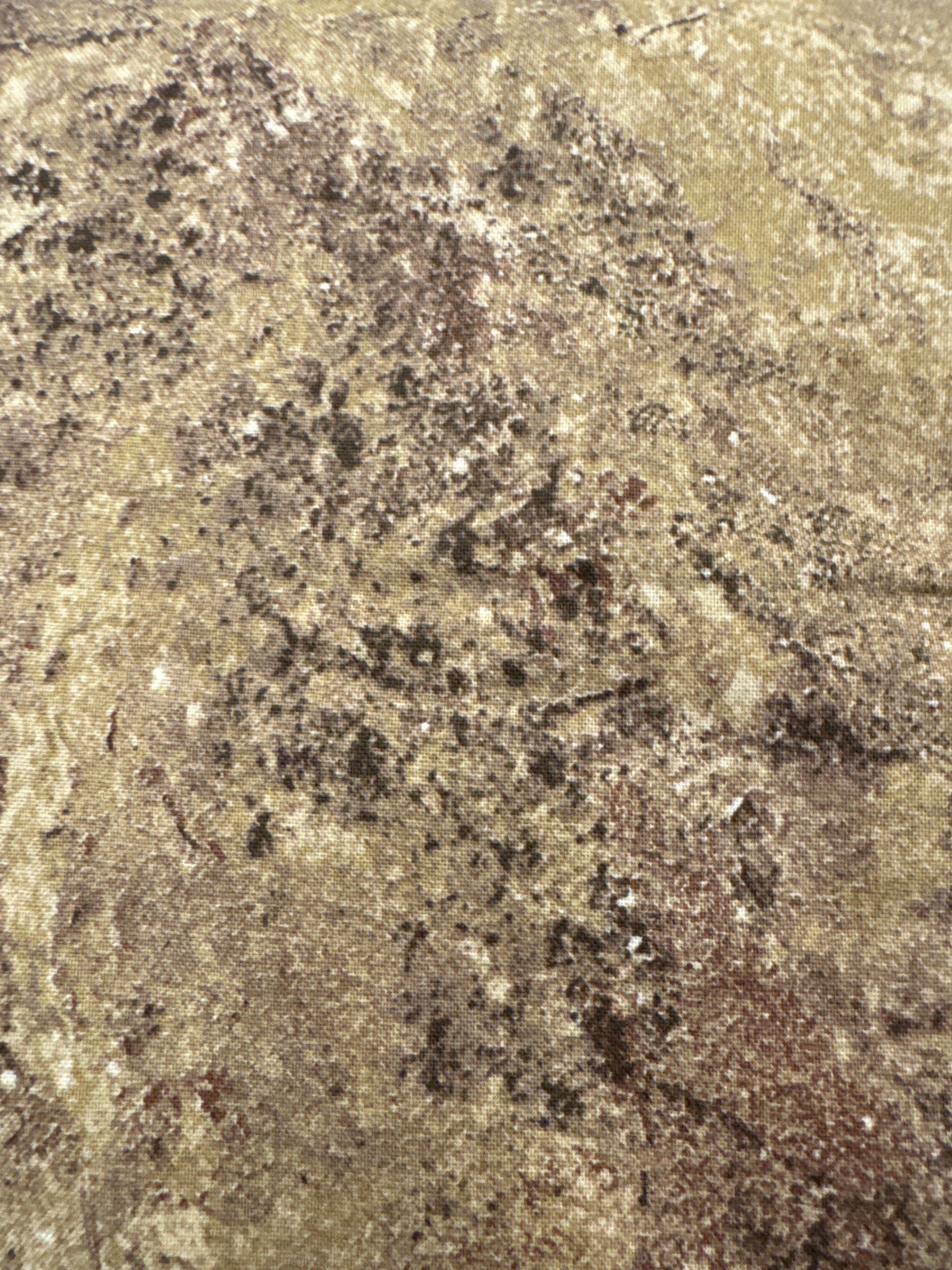 Northcott Stonehenge Gradations limestone taupe