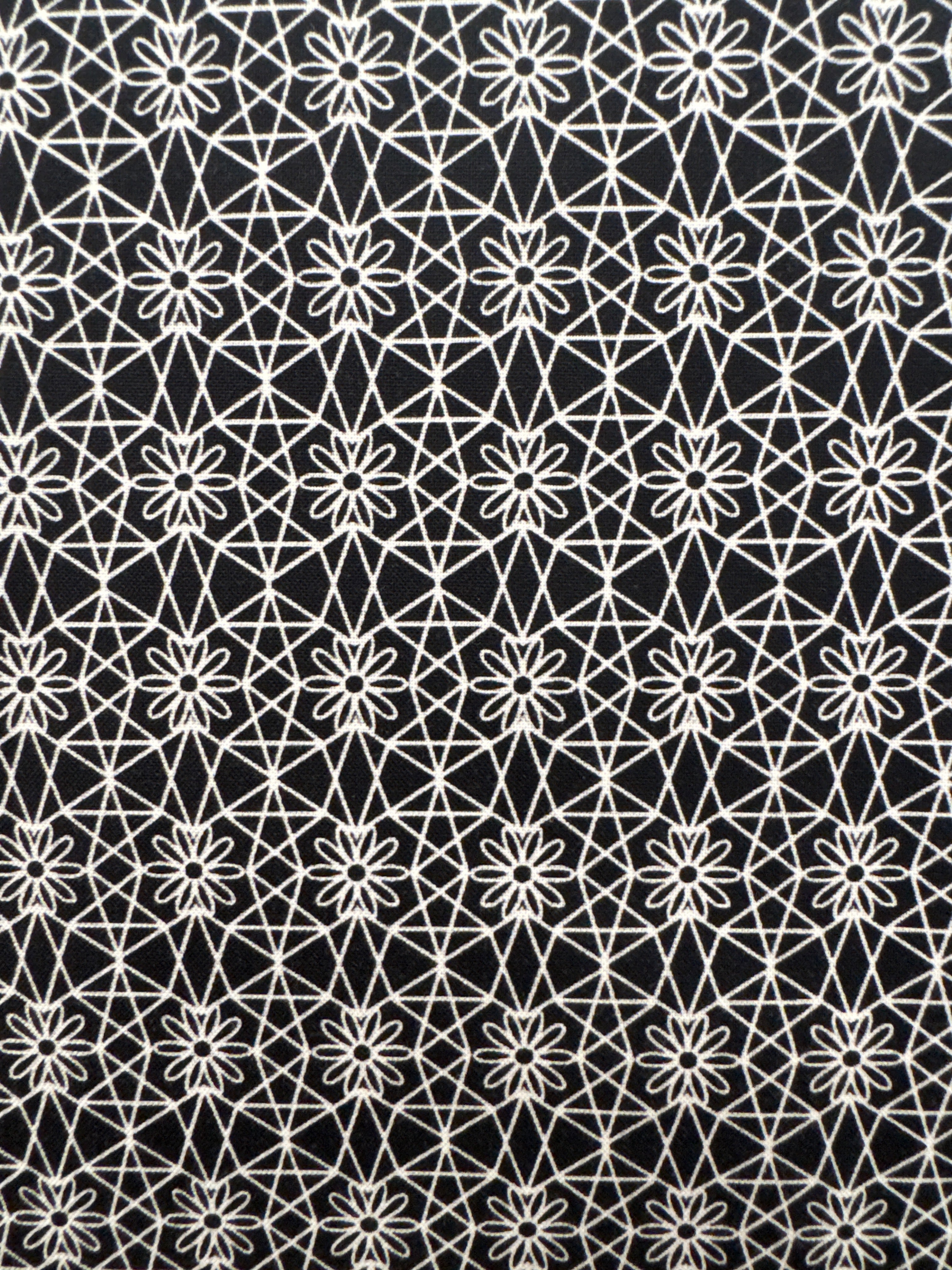 Mellow Drama Fractals Black geometric quilting fabric by Andover Fabrics