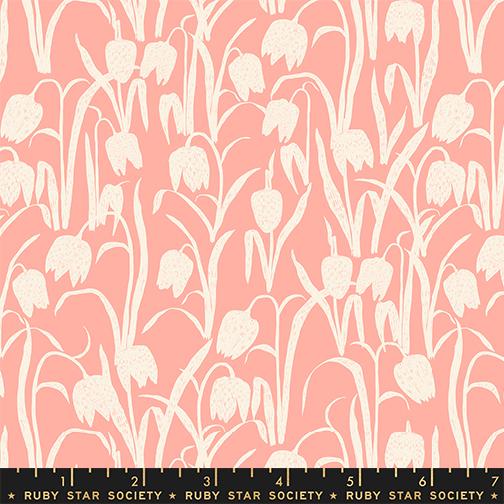 Ruby Star Society Reimagined Landscapes Bashful Tulips RS6052 11 quilting fabric — modern tulips in bashful pink