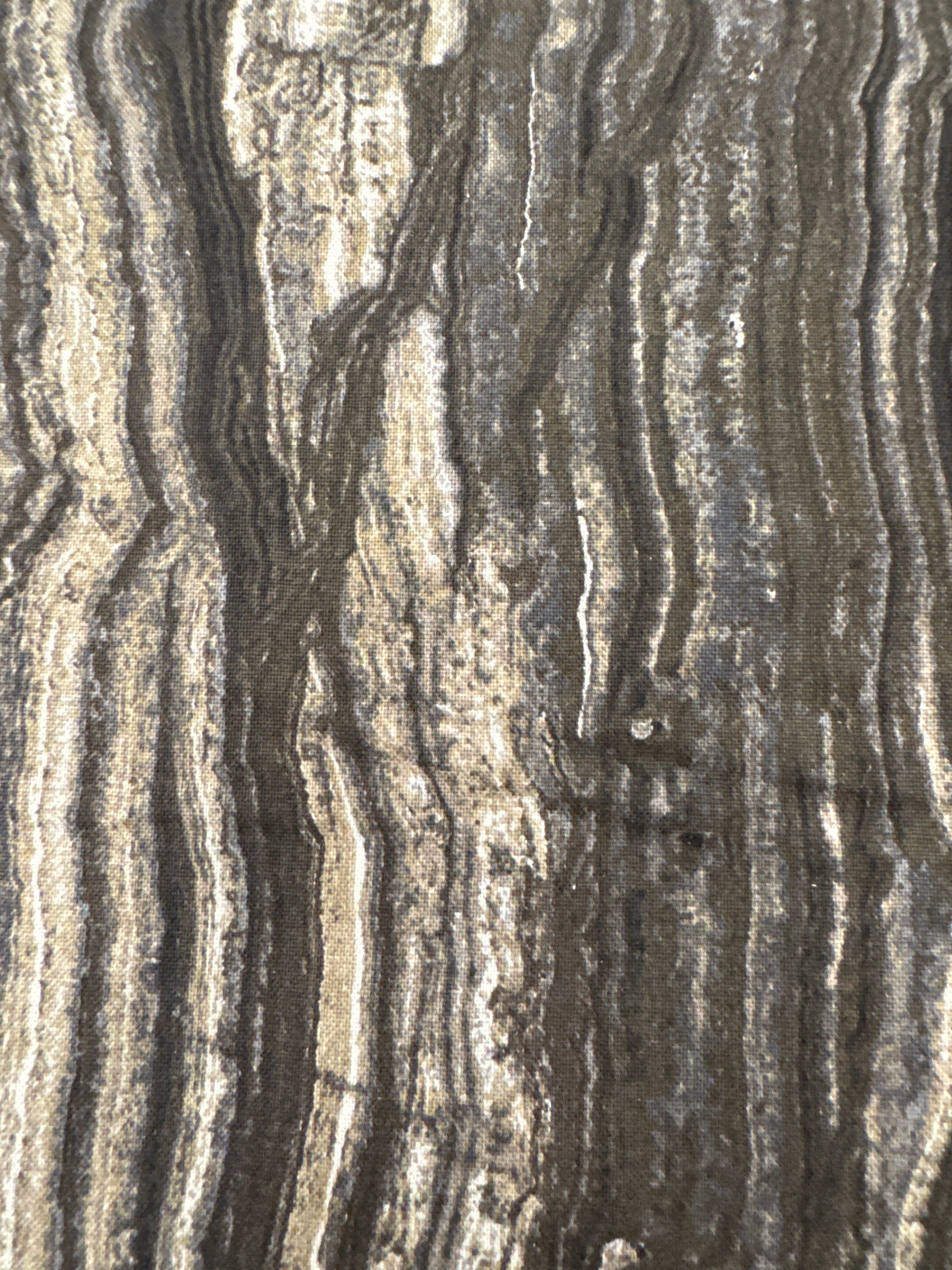 Northcott Stonehenge surface marble warm gray