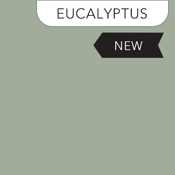 Northcott Premium Solids quilting cotton in Eucalyptus