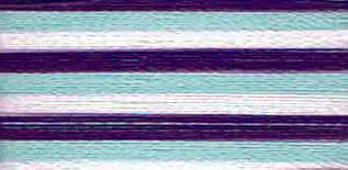 9302 Floriani Thread 40 weight 1000M - VARITHREAD WILDBERRY - Linda's Electric Quilters