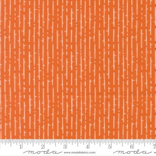 Coven Thorny Stripes Pumpkin Spice Cotton 44"/45" Fabric Per Yard