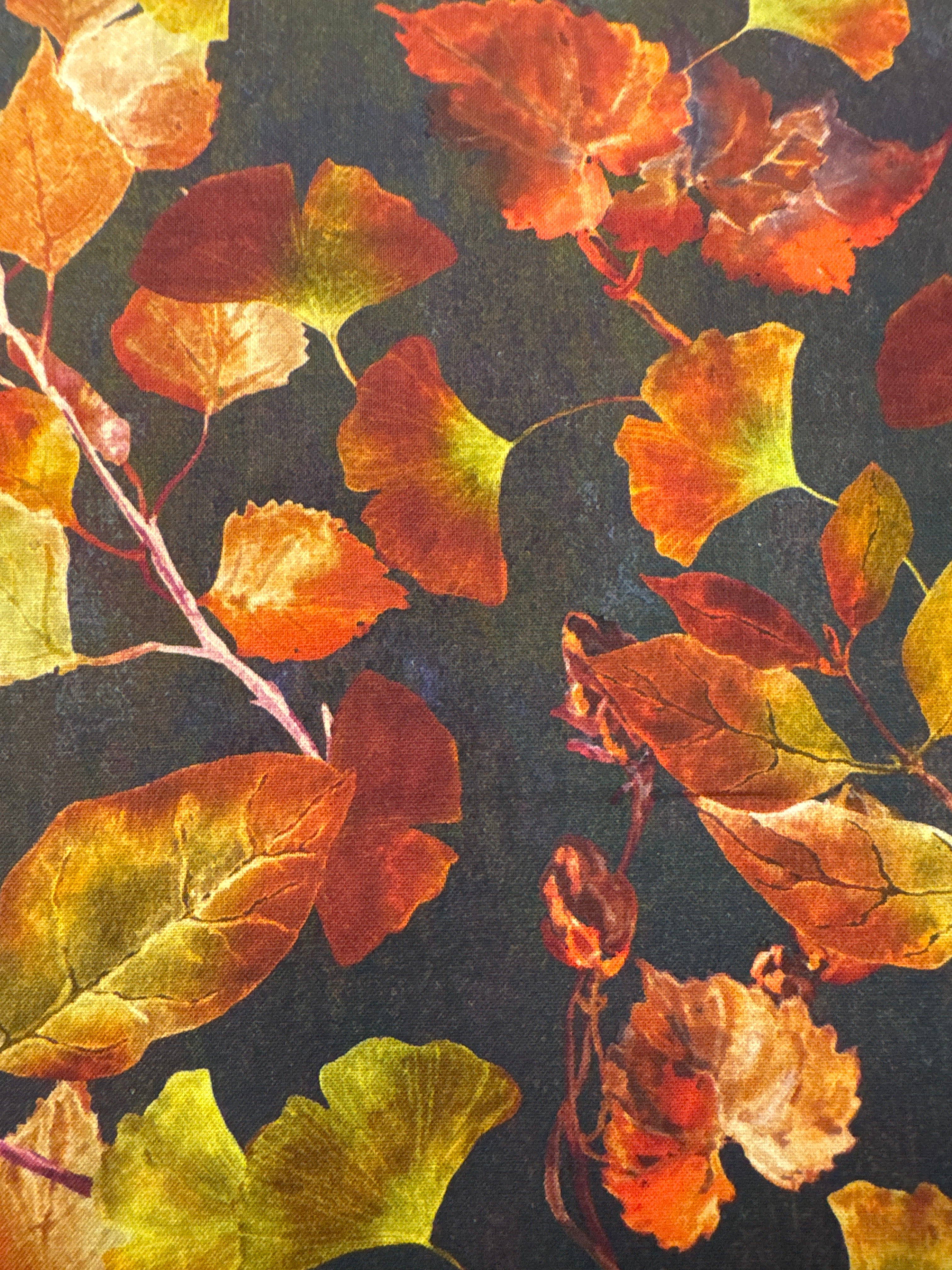 Reflections of Autumn 2 Leaves on Brown novelty quilting fabric by In The Beginning Fabrics