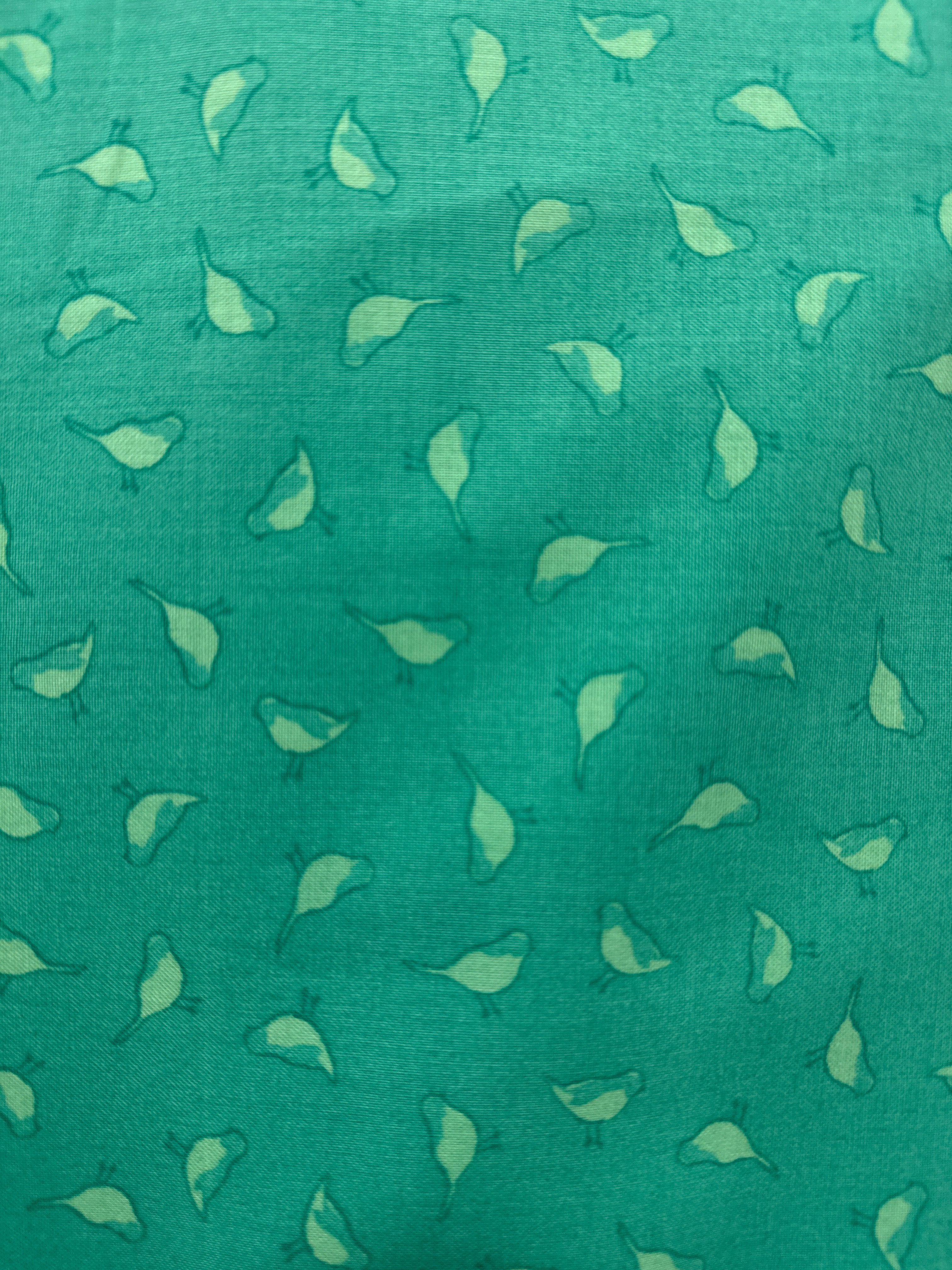 Color Club Aqua Green Birds novelty quilting fabric by Windham Fabrics